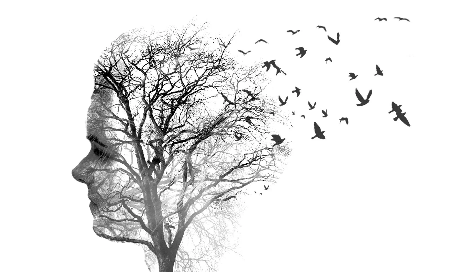 Untitled, image by Marg Alexander