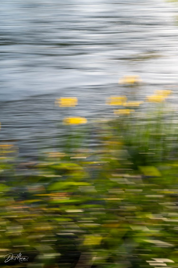 Why use ICM with Multiple Exposures? If you are already a fan of ICM