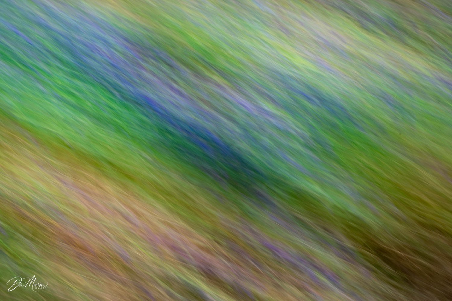 Why use ICM with Multiple Exposures? If you are already a fan of ICM