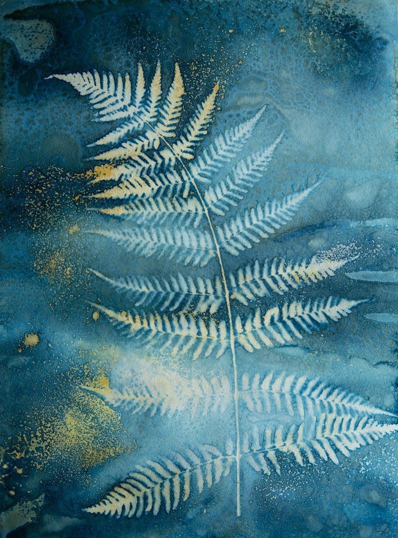 Apply a Cyanotype Effect to Any Photo