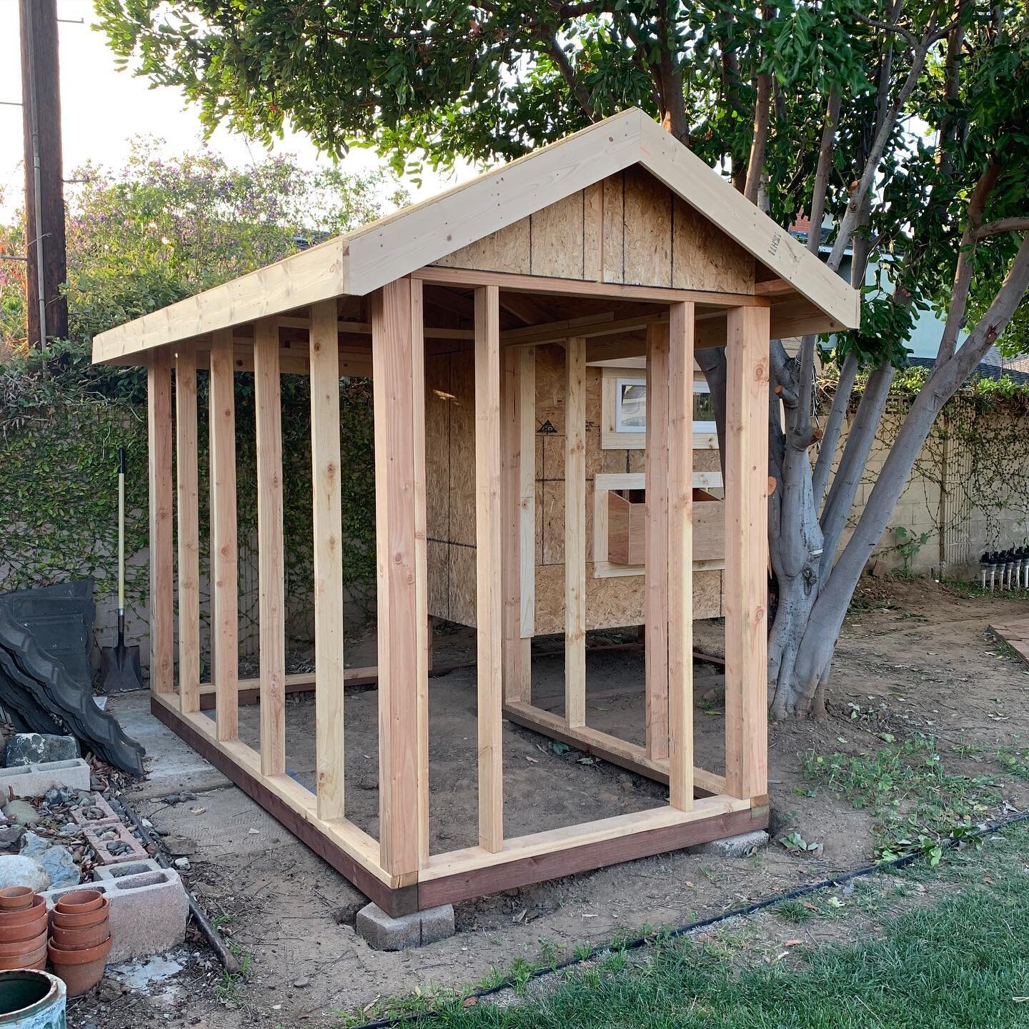 Cluckingham Palace day 7:

Made a ton of progress today! Added some more framing and installed 2 windows, finished sheeting the walls, added trim around all the edges and doorways, pulled down the siding from storage for tomorrow, picked up roofing m