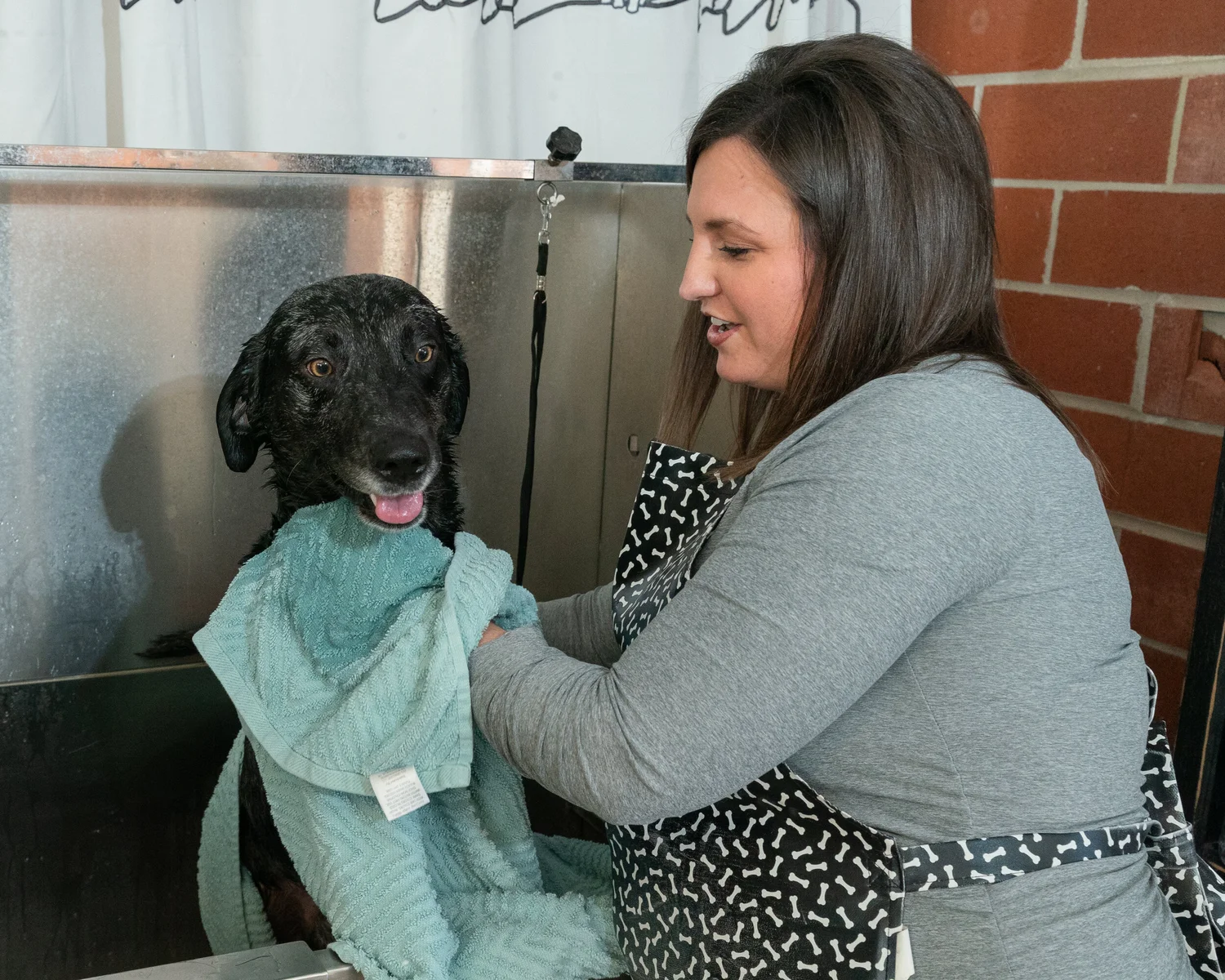 Services Waggin Tails services-waggin-tails