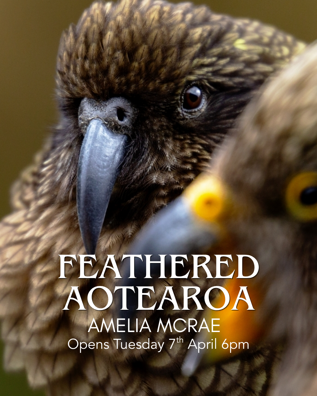 Opens Tuesday 7th April 6-8pm.png