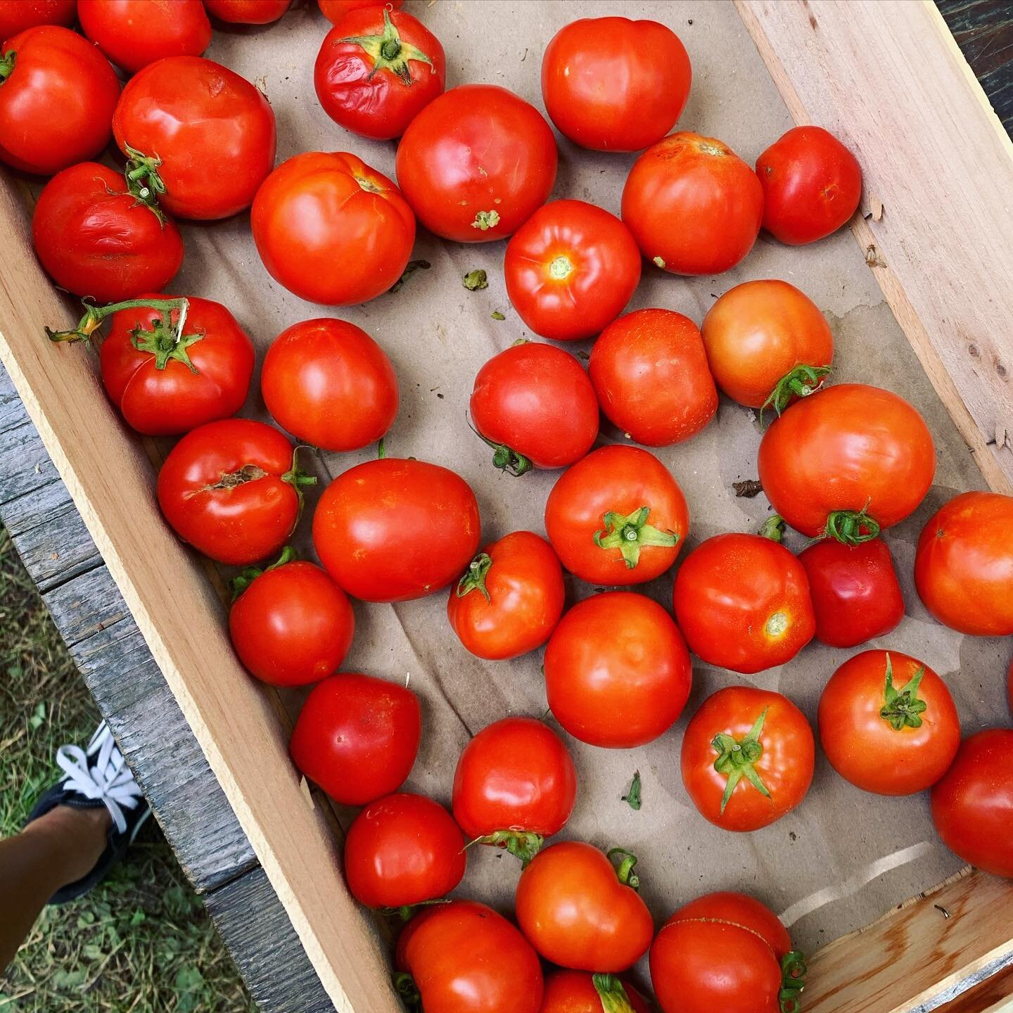 A reminder to eat seasonal and local (when possible) 🍓🫑🫐🥕

Both are fresher, tastier, more nutritious, and better for the environment. Since it doesn&rsquo;t have to travel as far to arrive, it reduces greenhouse gas emissions and contributes to 