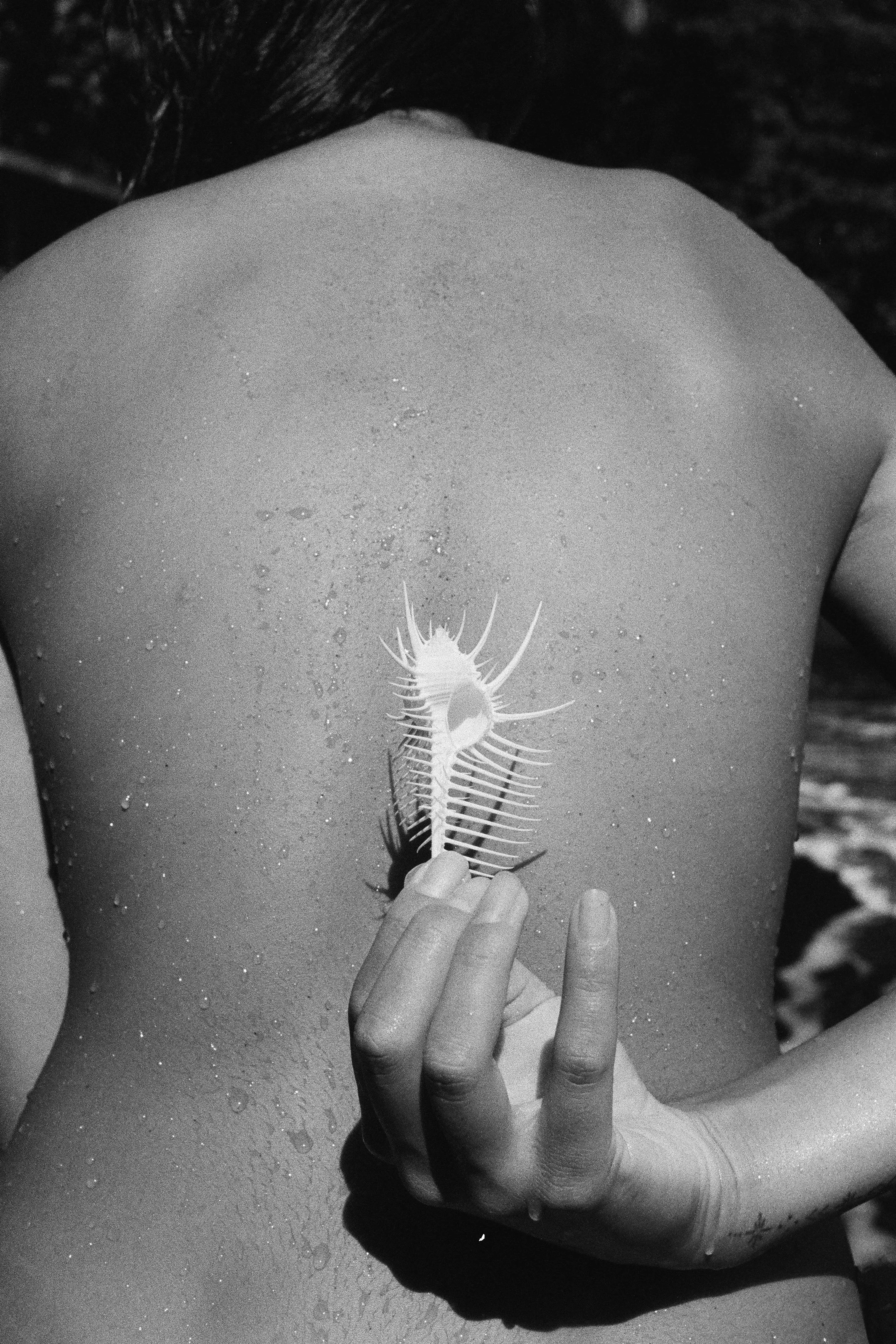 Beach-Snail.jpg