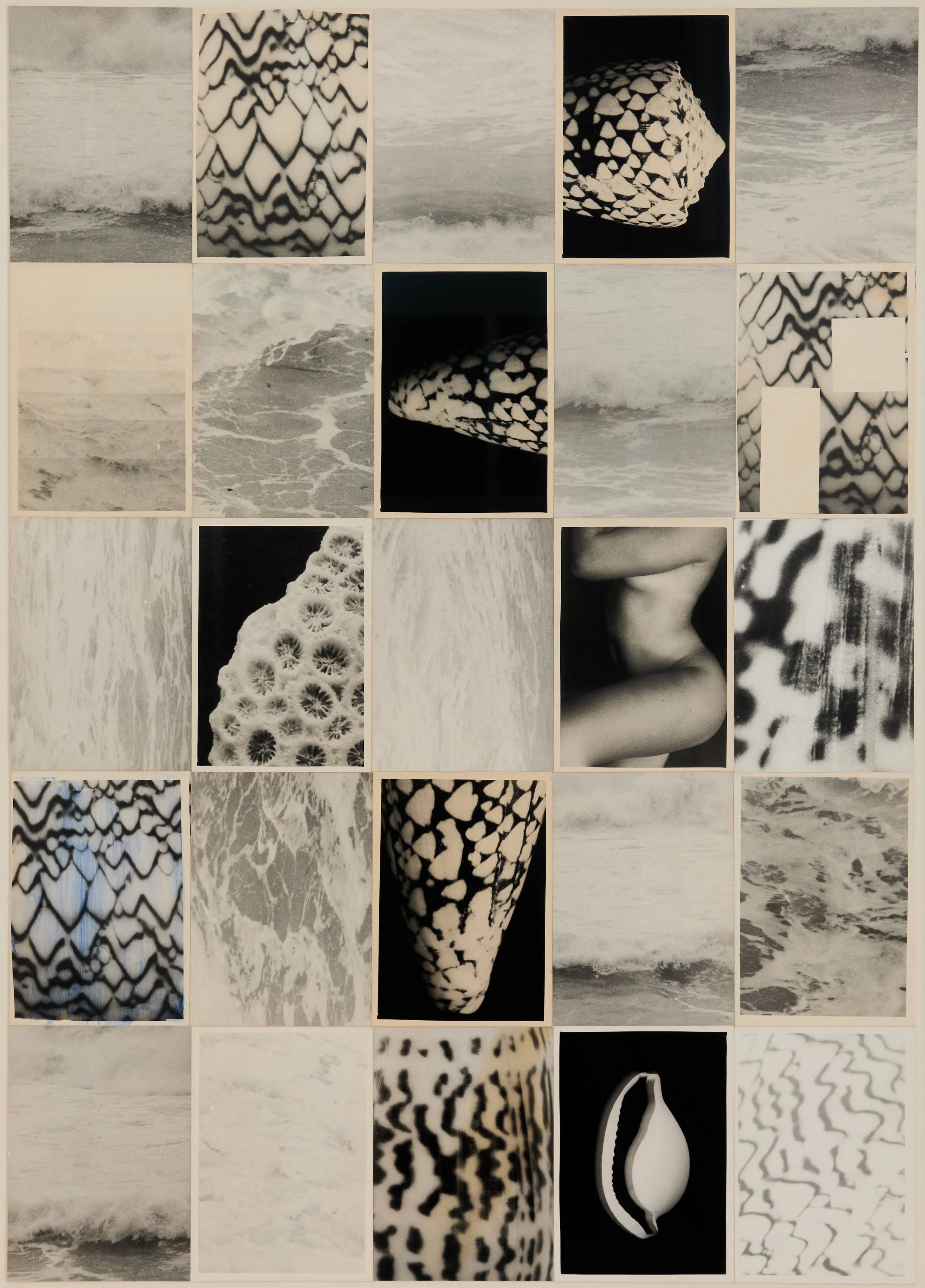 Fossiking_0002 1.jpg