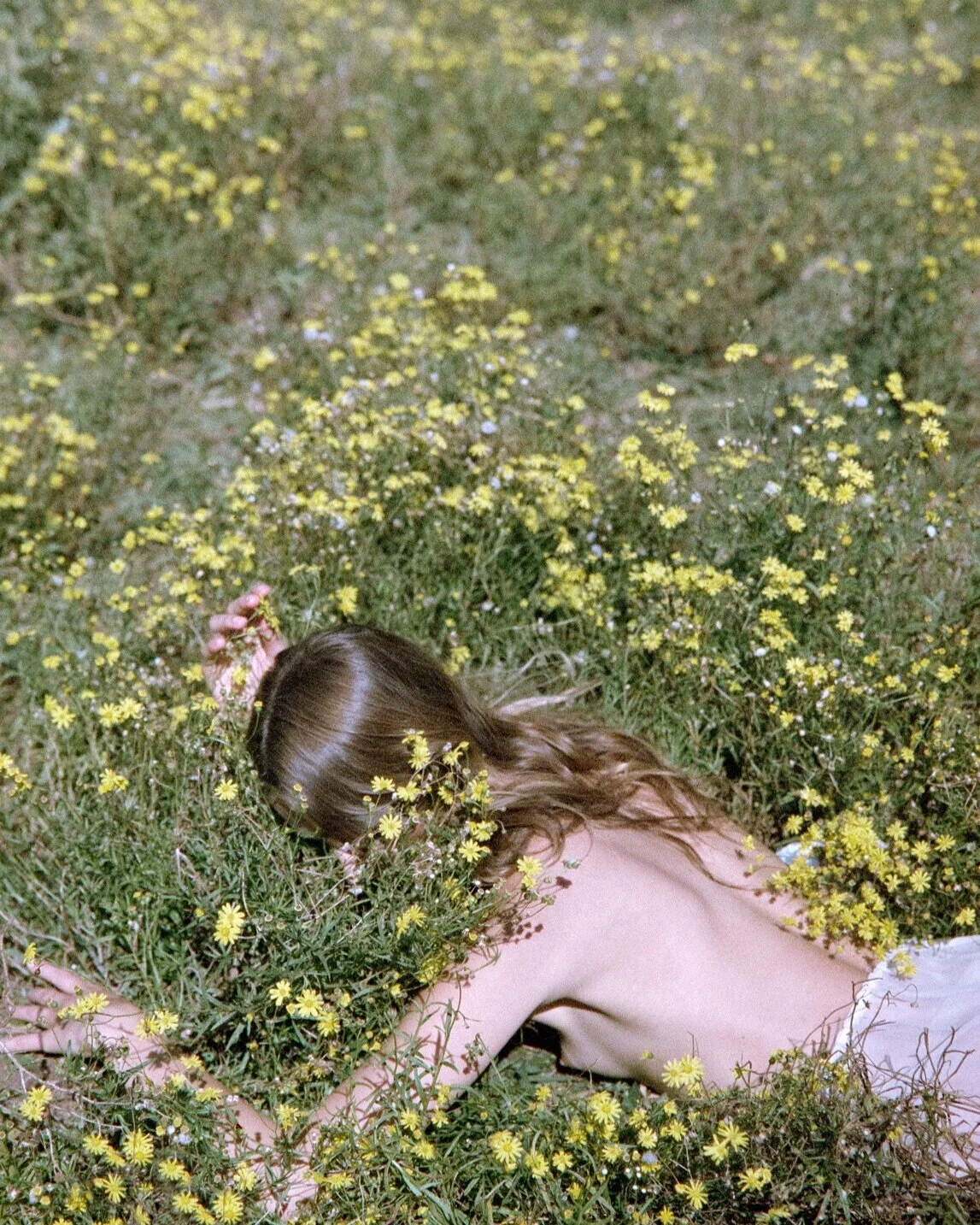 FieldOfDreams-1.jpg