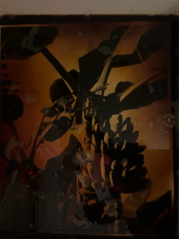 What you can do in a week 🤪