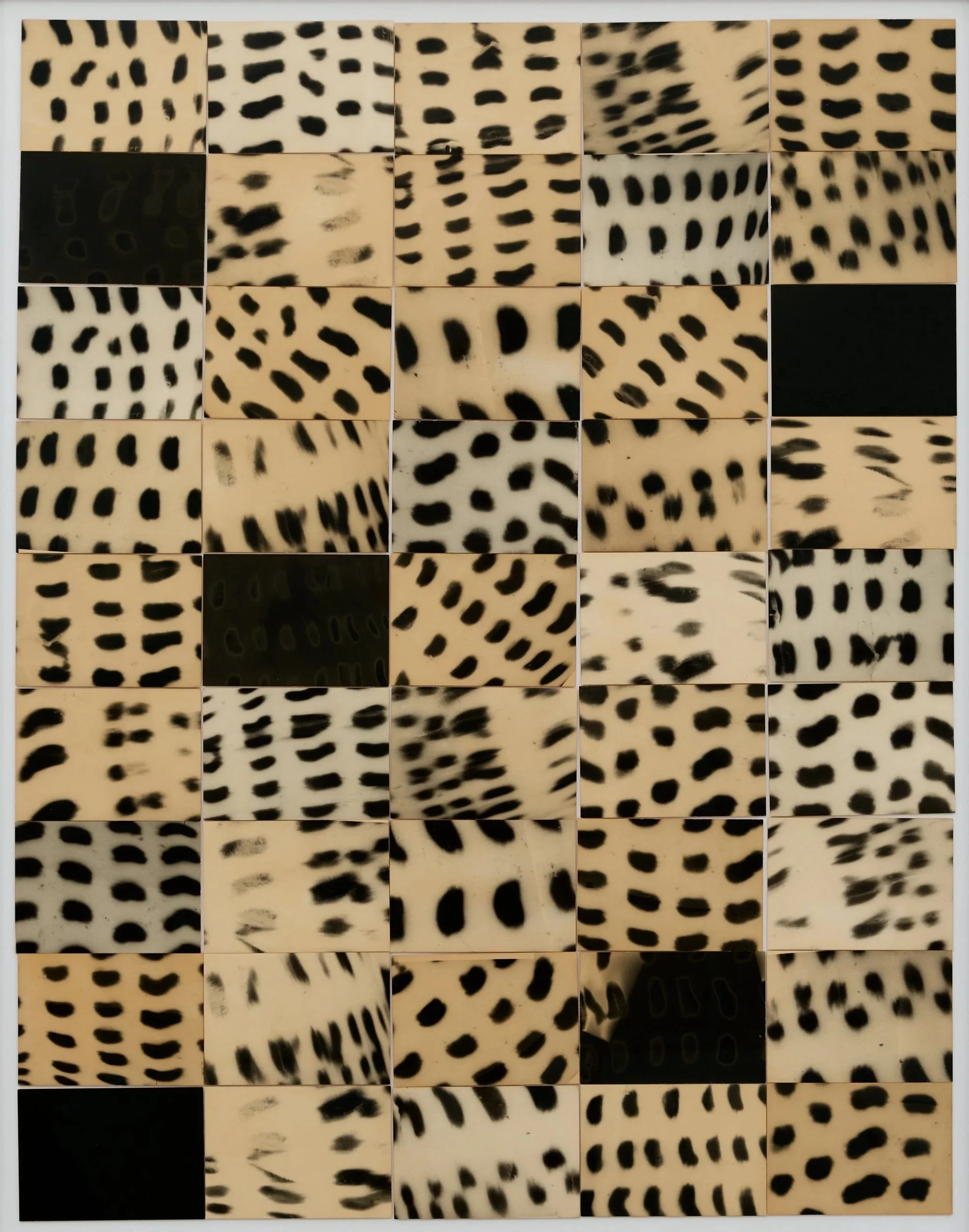 Black Spots