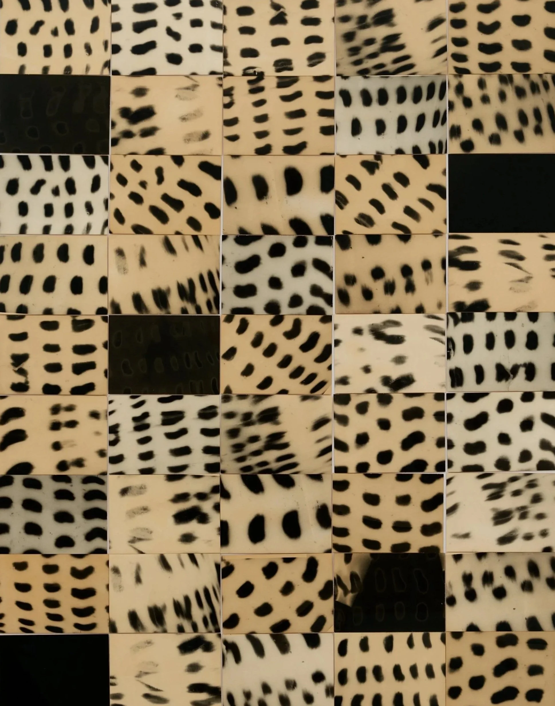 BLACK_SPOTS_001_123.5%25C3%259798x4cm-Composite-45-silver-gelatin-hand-prints-2025-ming-nomchong.jpg