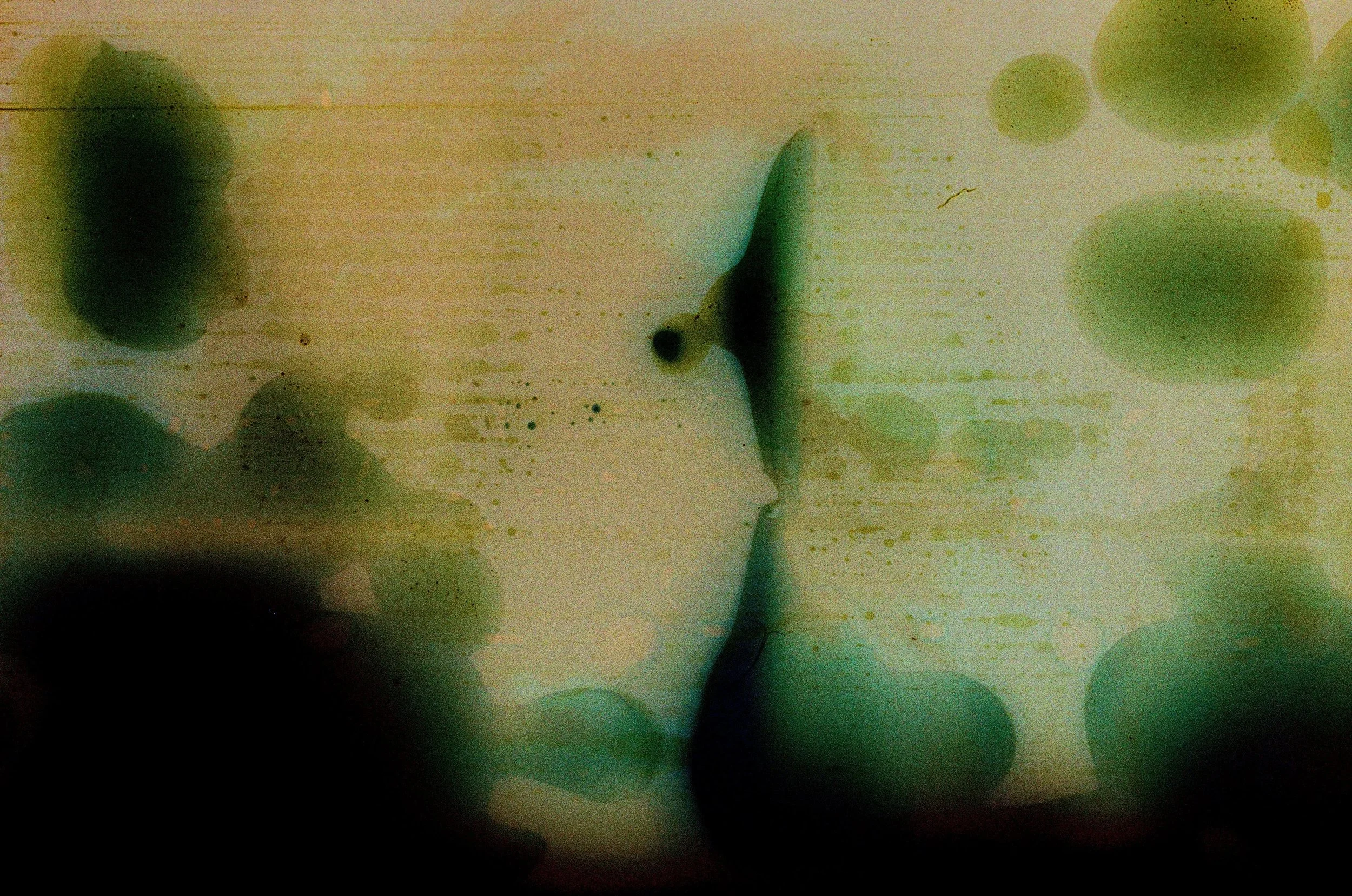 Salt+Water+Series+3-LR-000009160035.jpg