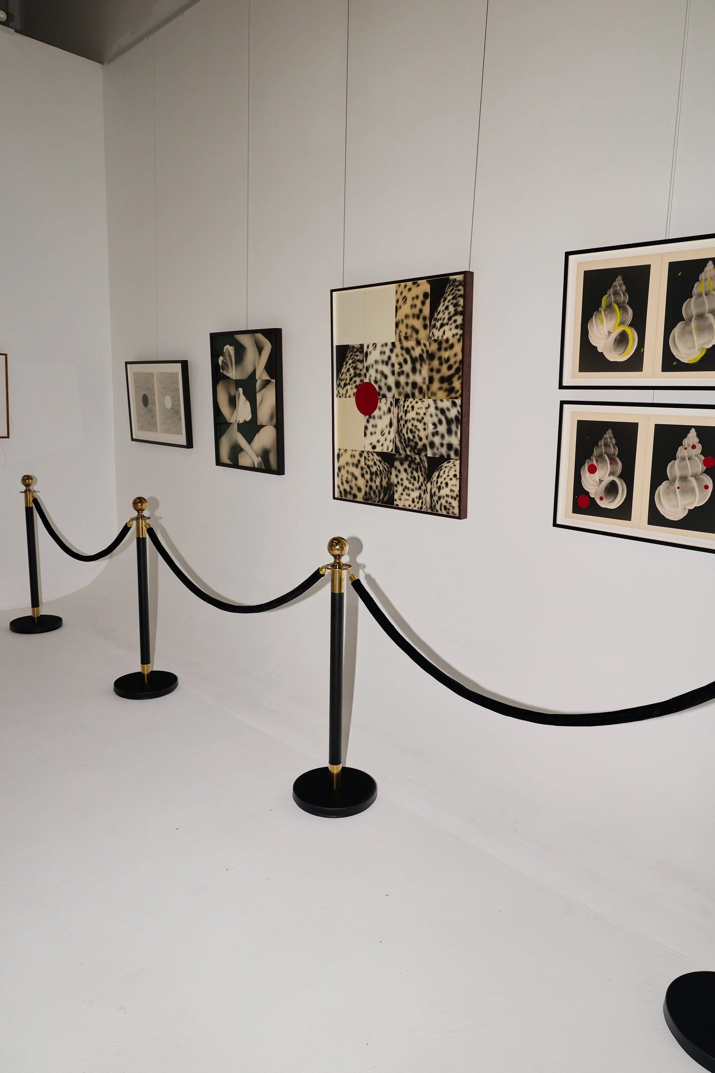 Ming Nomchong_THE STUDIO SPACE_036.jpg