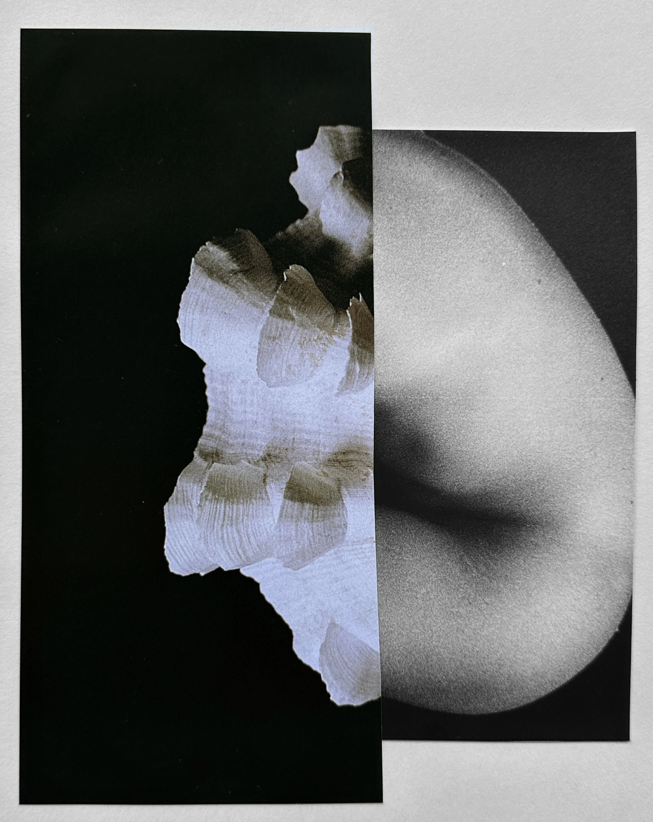 I'm Just A Bit Of A Hermit