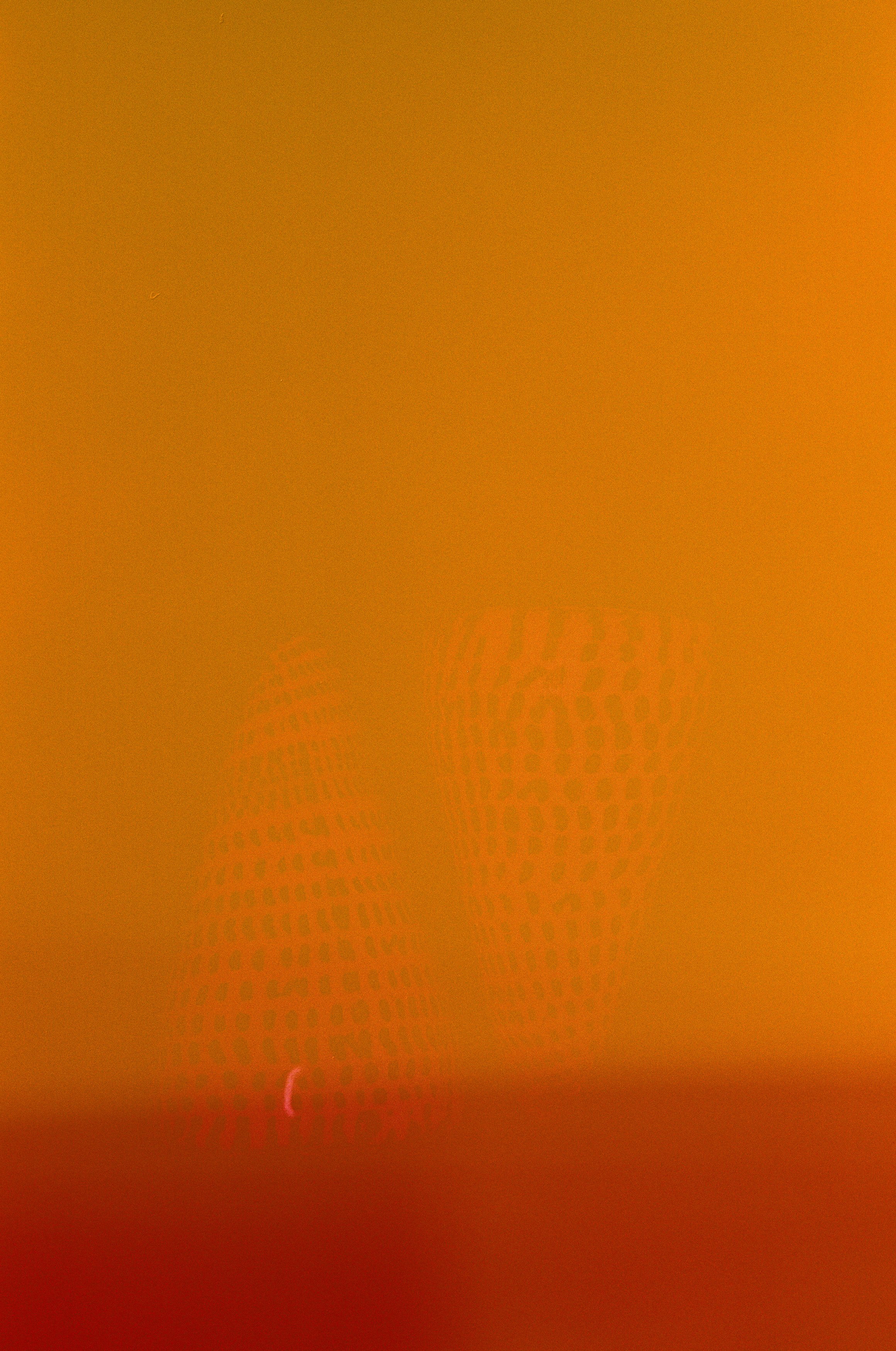 Liquid Light 2