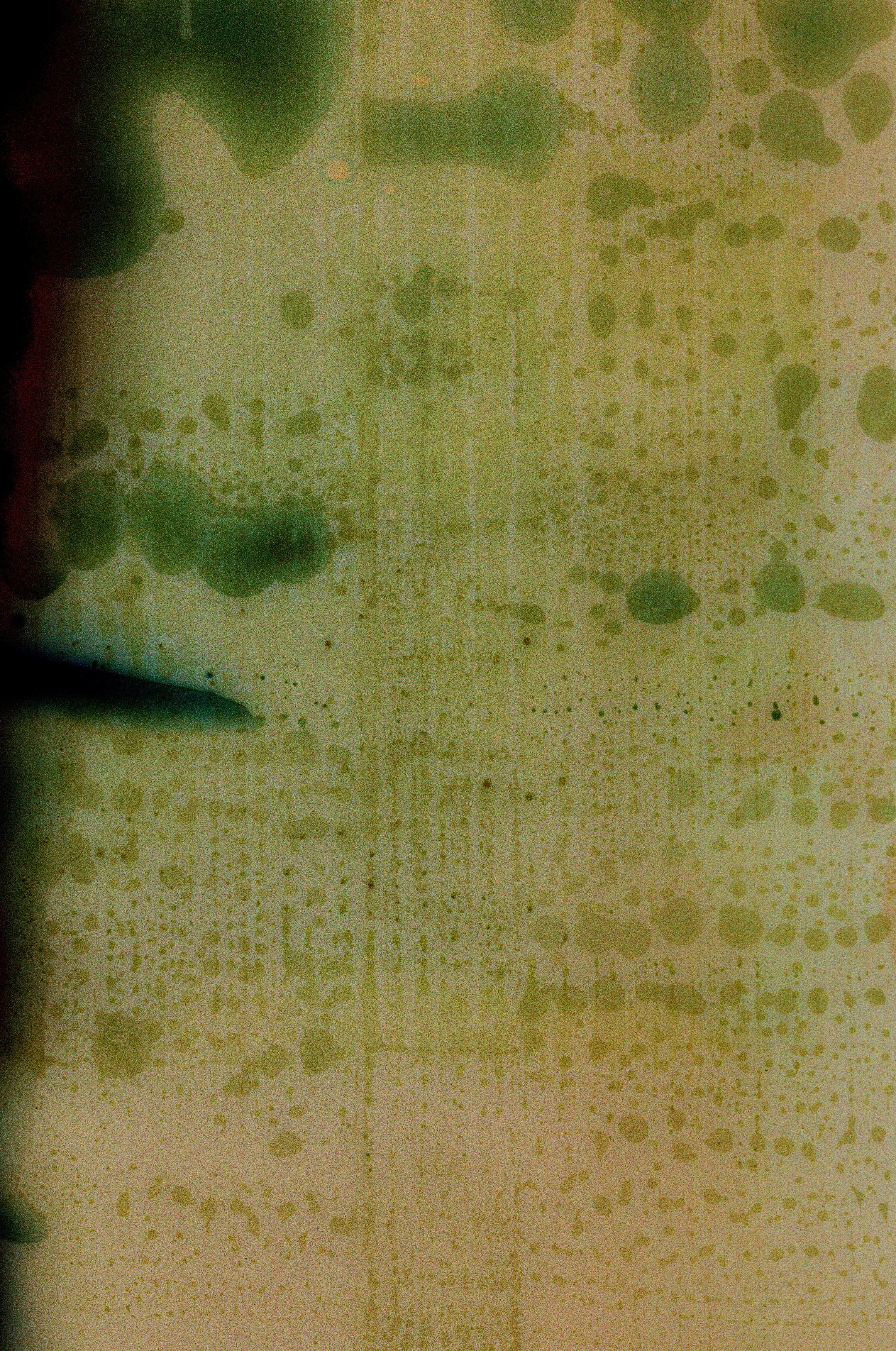 Salt Water Series II