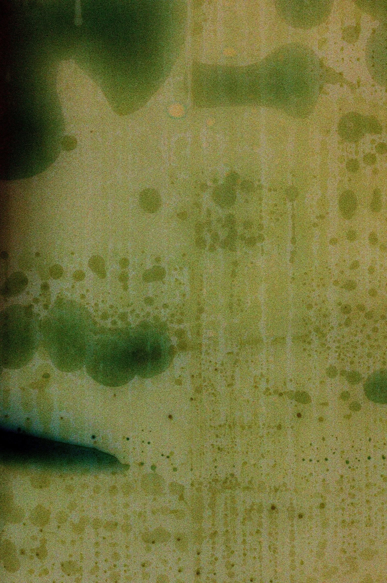 Salt+Water+Series+2-LR-000009160033.jpg