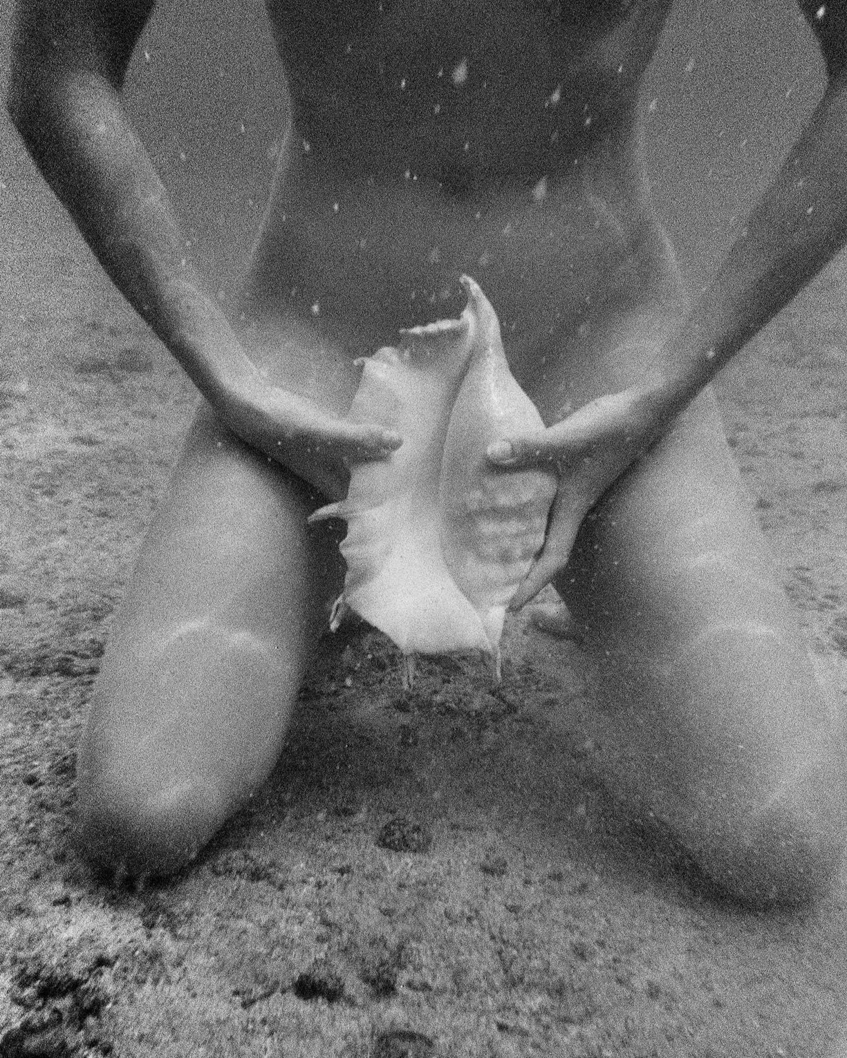 Girl+with+underwater+shell.jpg