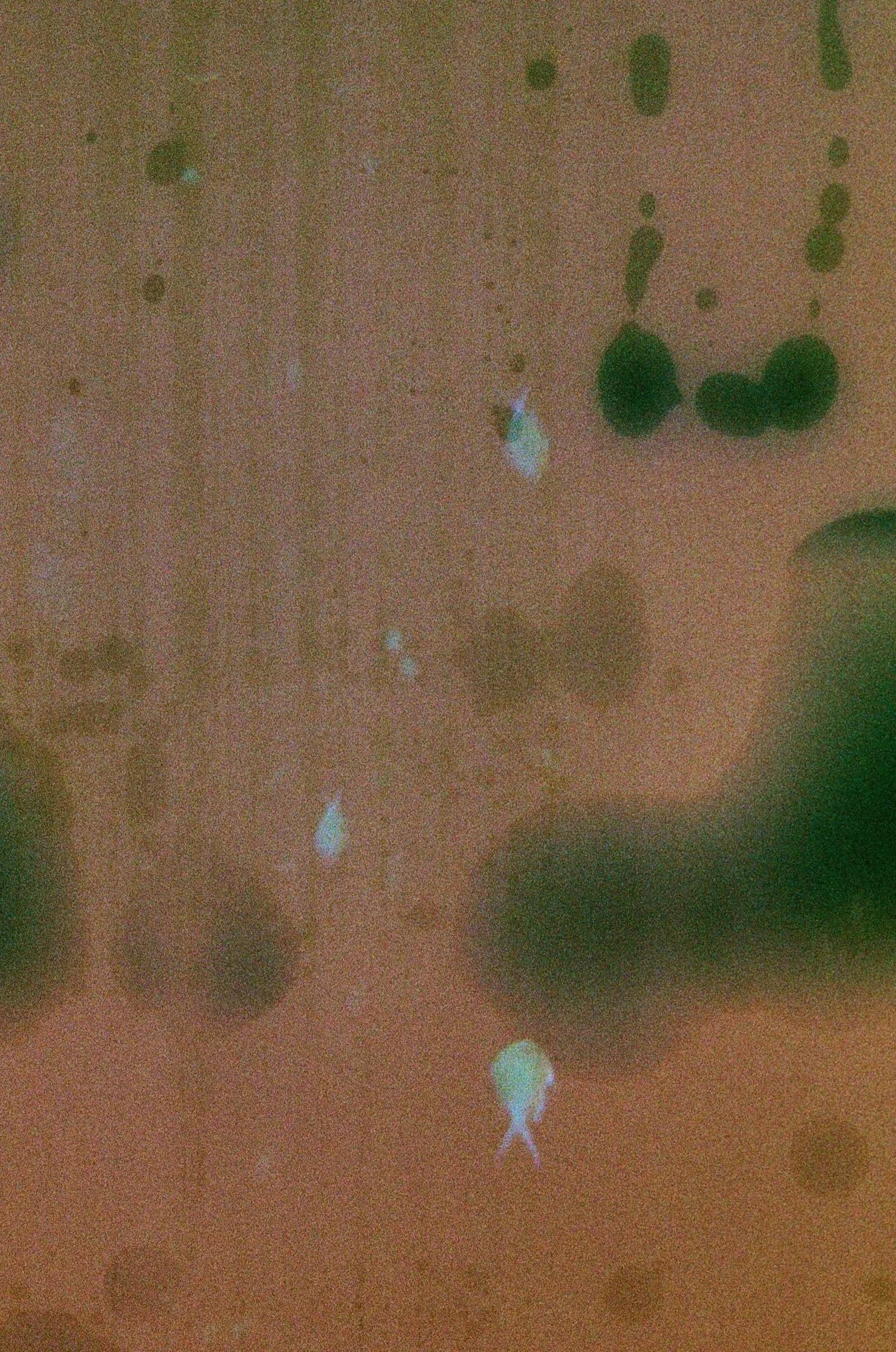 Salt+Water+Series+1-LR-000009160025.jpg