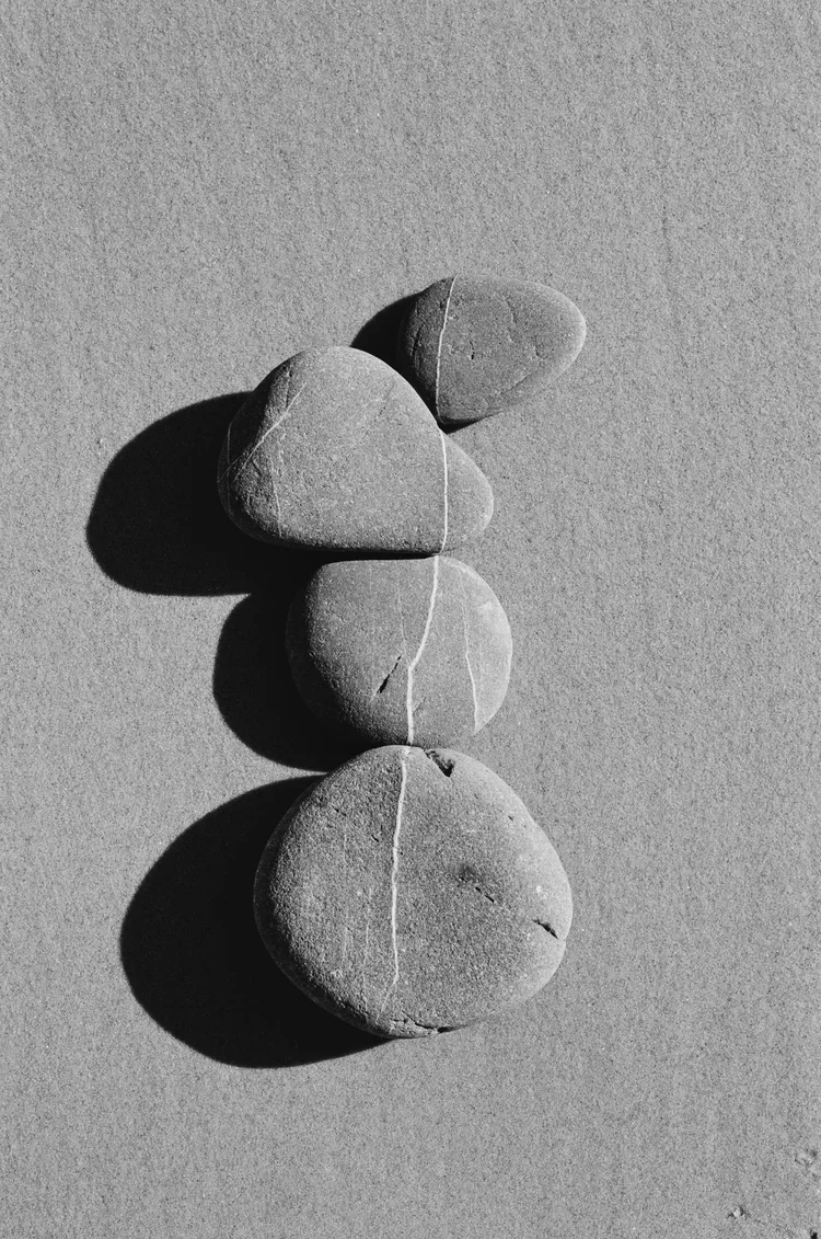 -Alignment-000099590030.webp