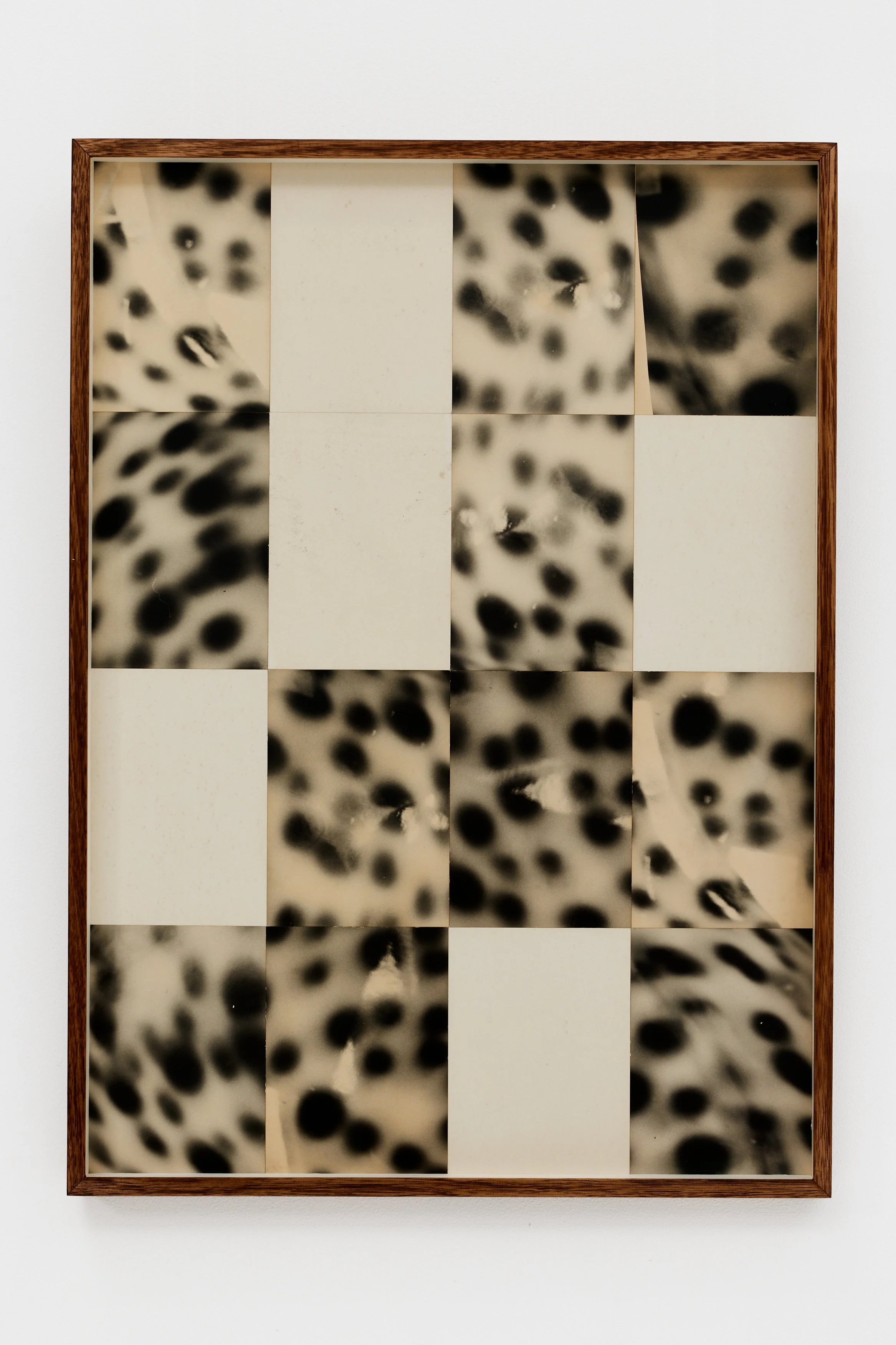 Blank Spots