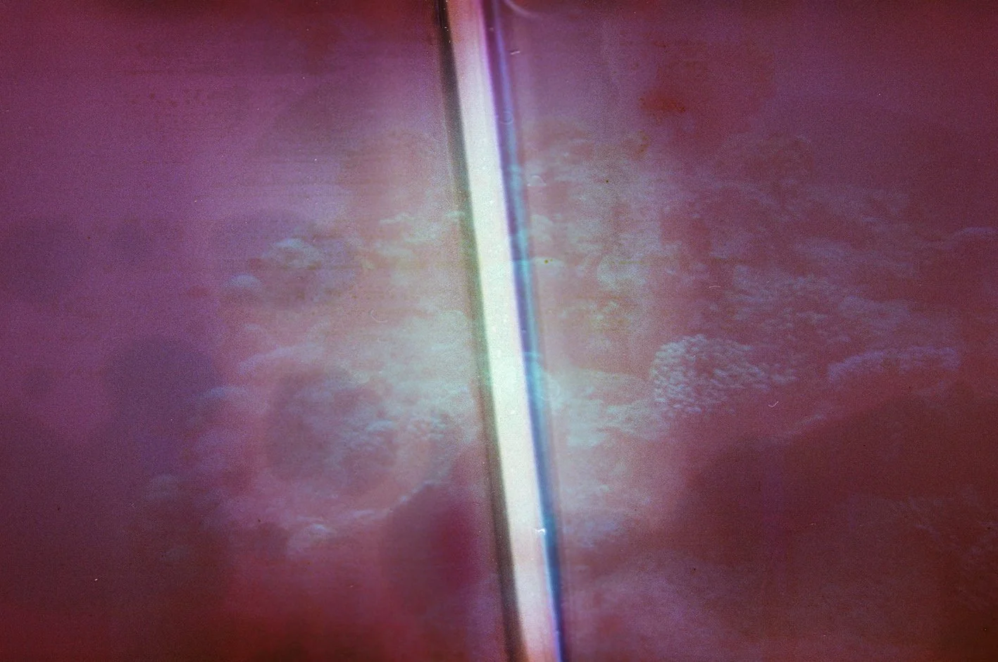 Purple-Haze-LR-000000010013.jpg