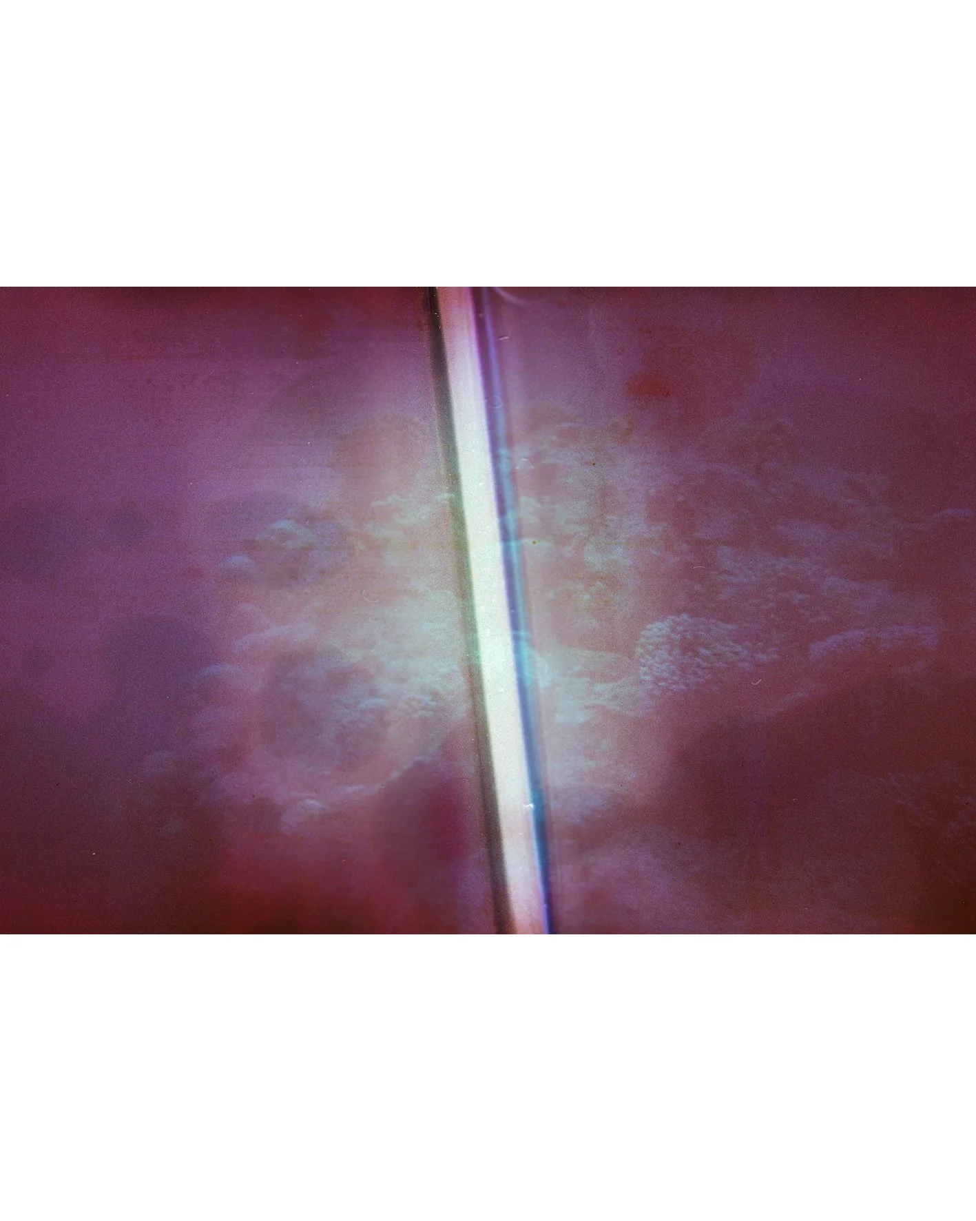 Purple Haze