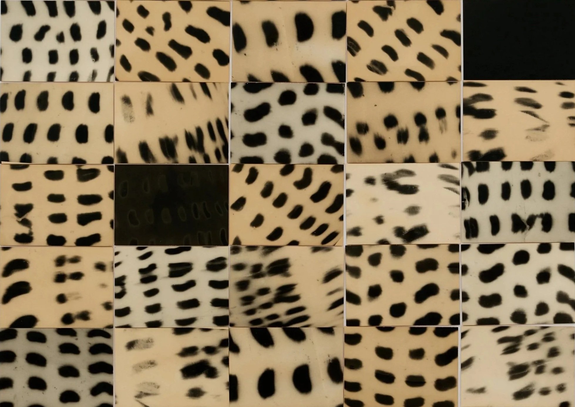 BLACK_SPOTS_001_123.5%25C3%259798x4cm-Composite-45-silver-gelatin-hand-prints-2025-ming-nomchong.jpg