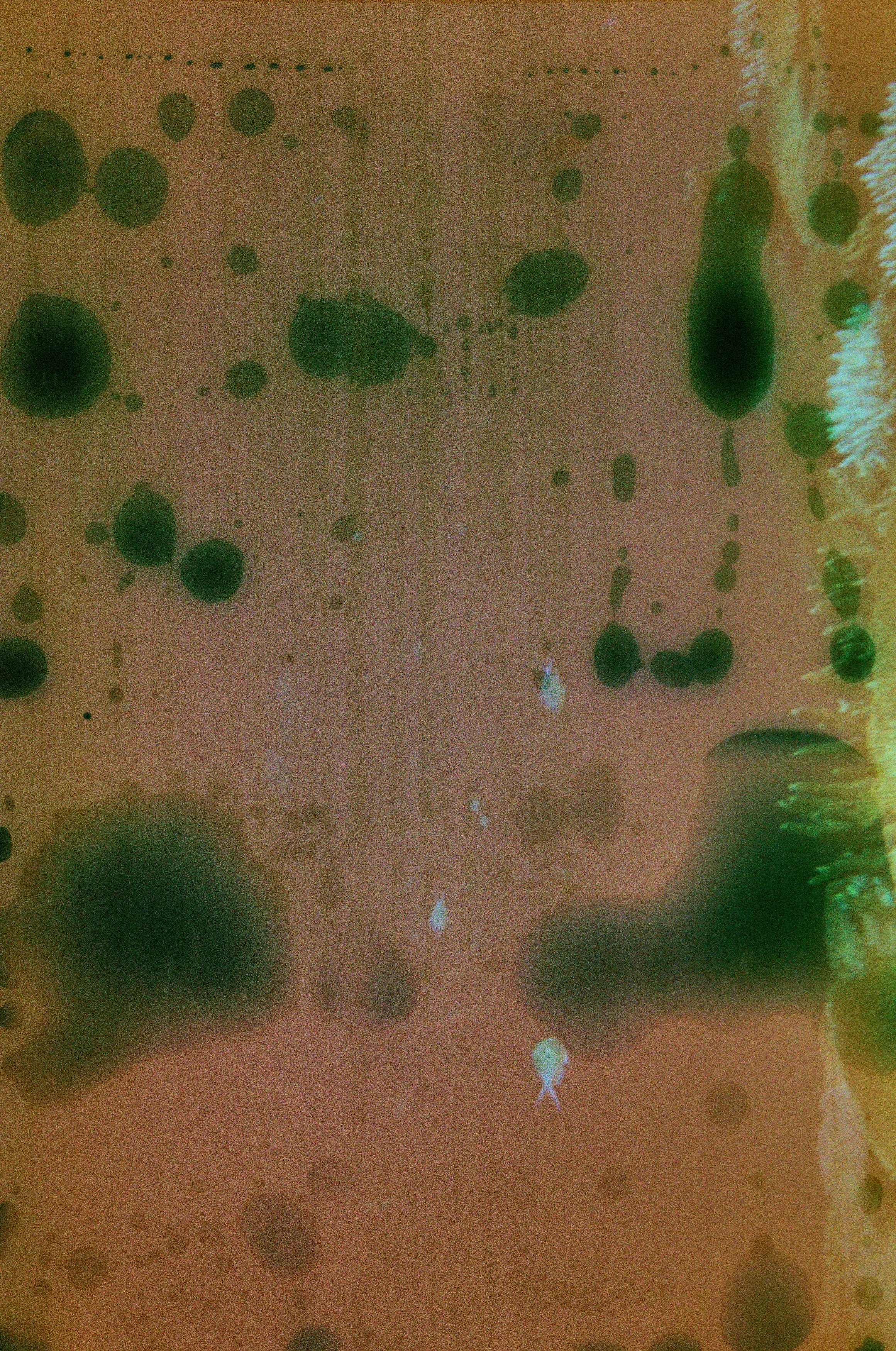 Salt Water Series I