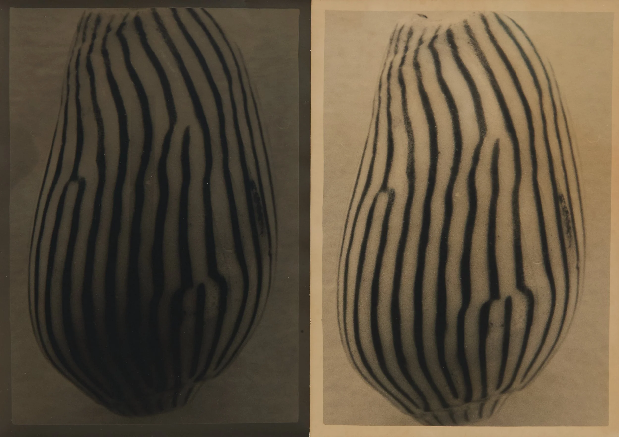 sola-cola_0132.jpg