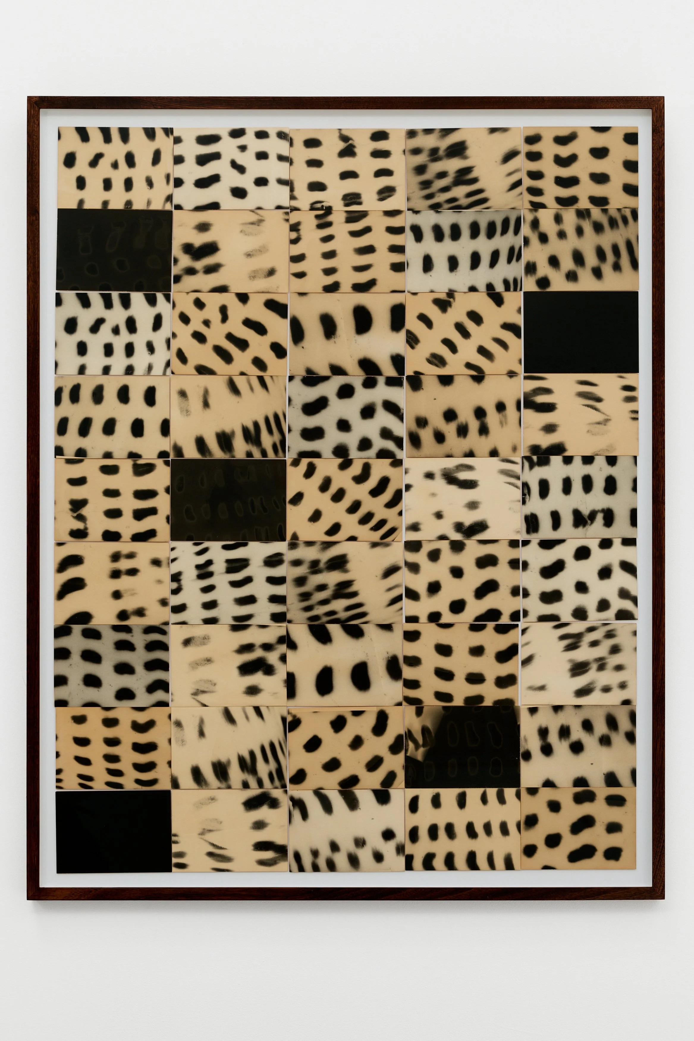 Black Spots