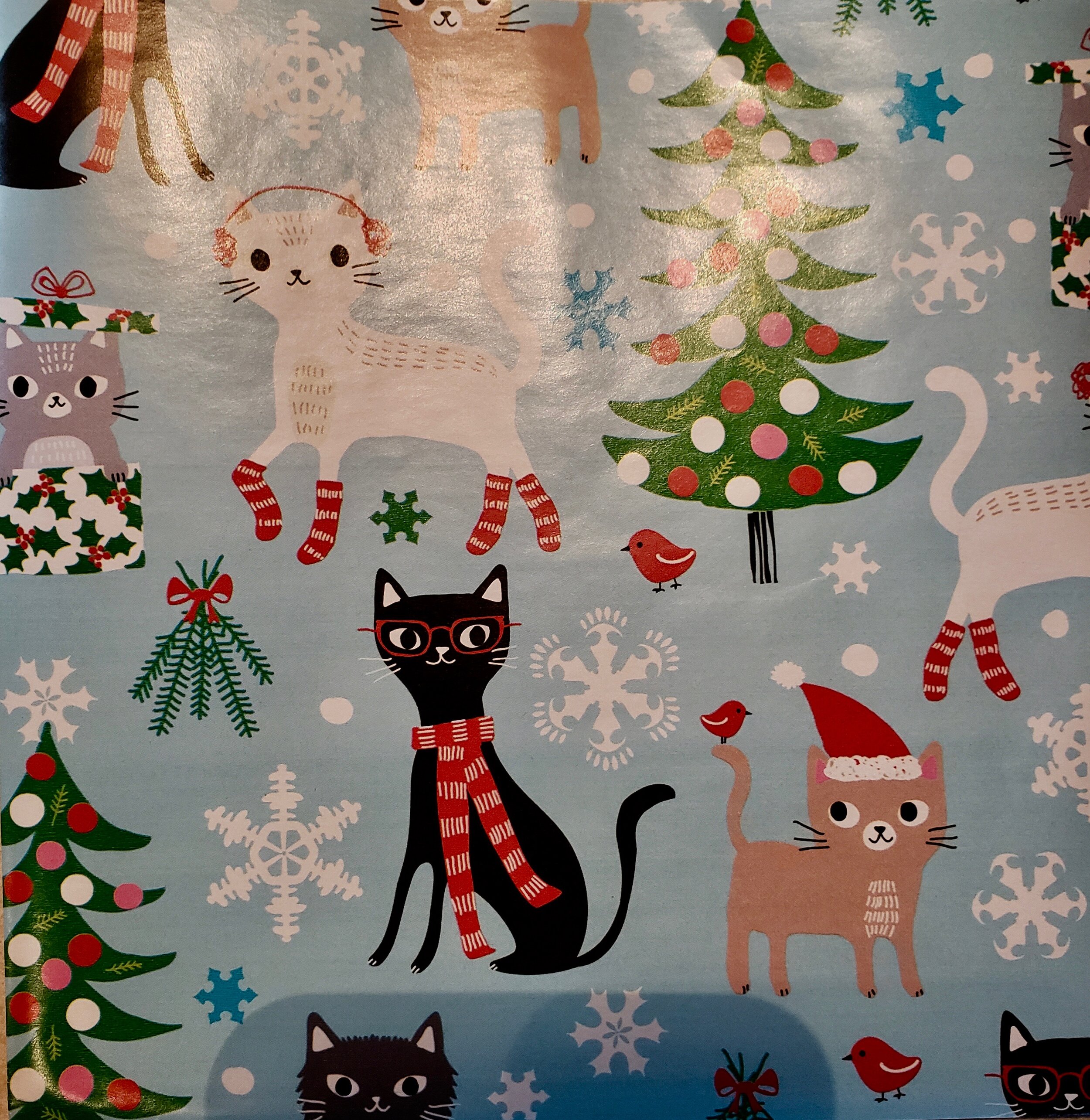 Don't You Wish This Was Your Wrapping Paper?.jpg