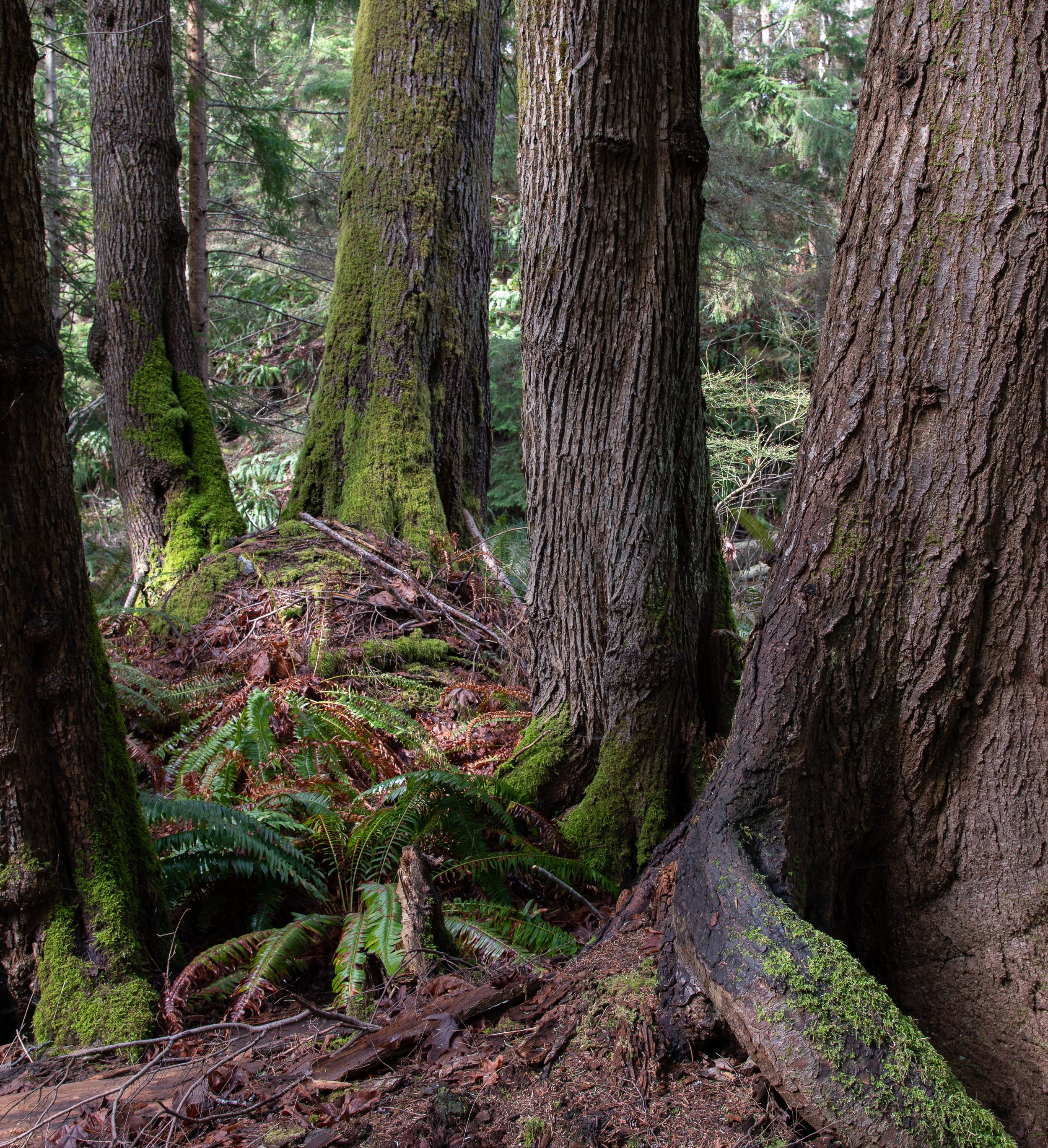 -2303_kitty coleman.03.23_019.jpg