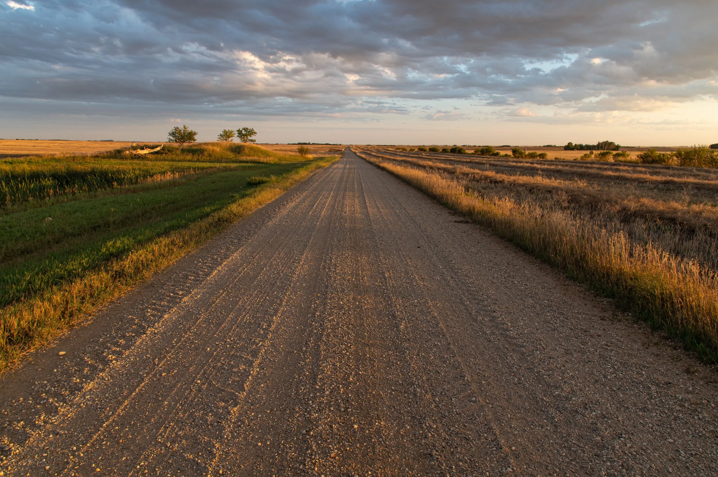 -2109_south of farm.09.21_005.jpg