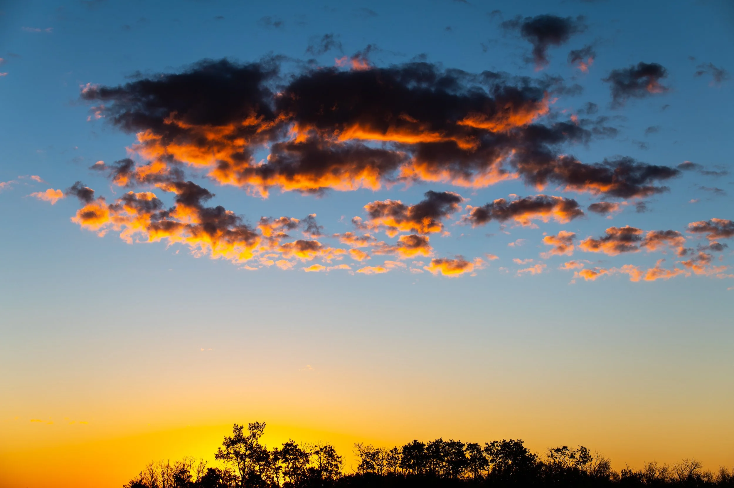 -2109_back deck.09.21_002.jpg
