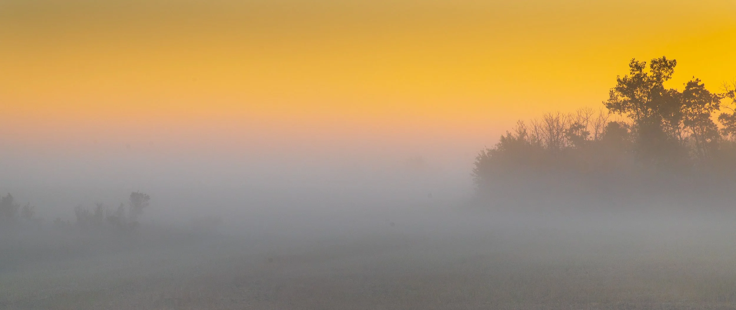 -2210_fall colour.10.22_019.jpg