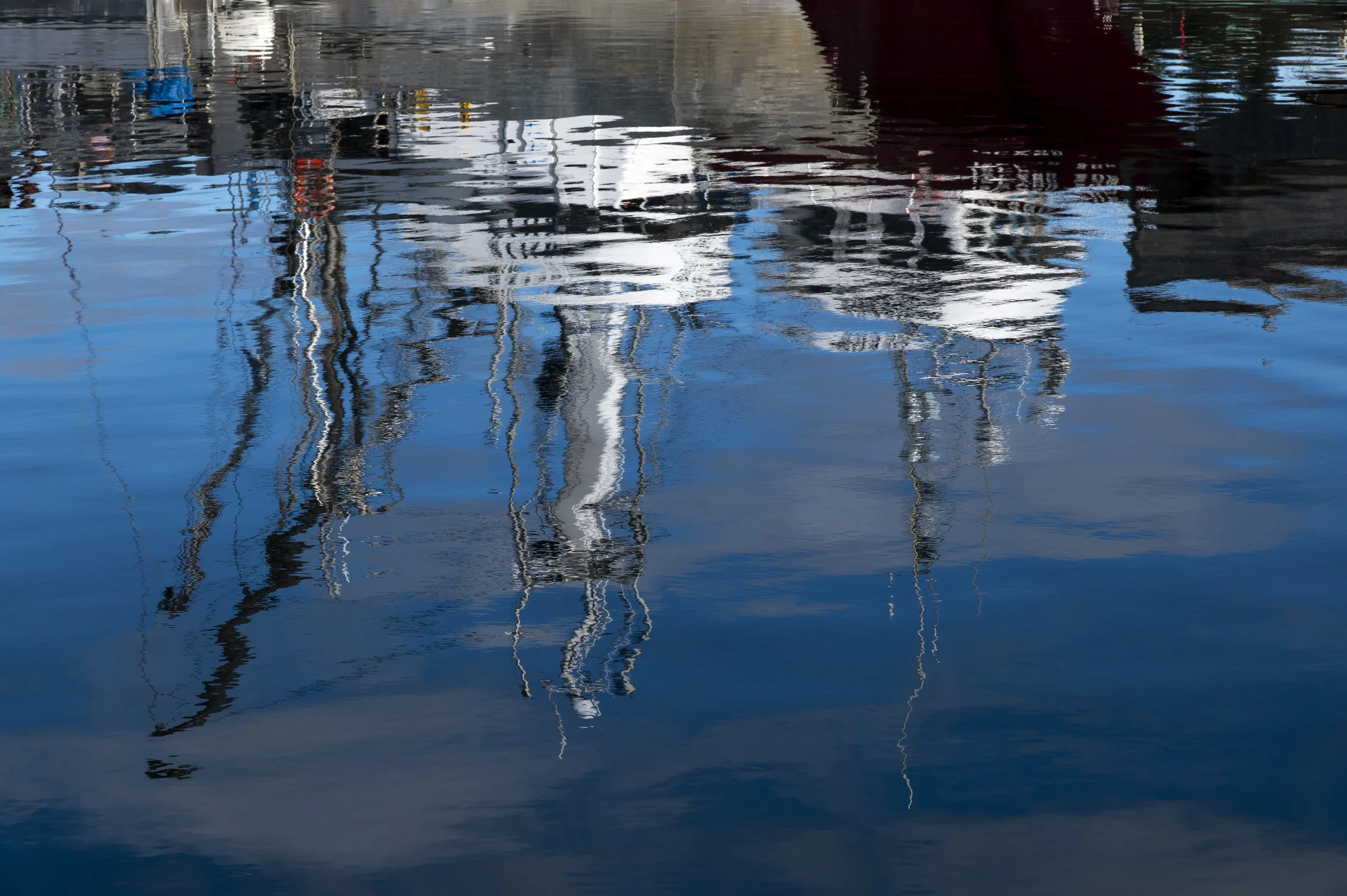 -2403_comox harbour.02.24_022.jpg