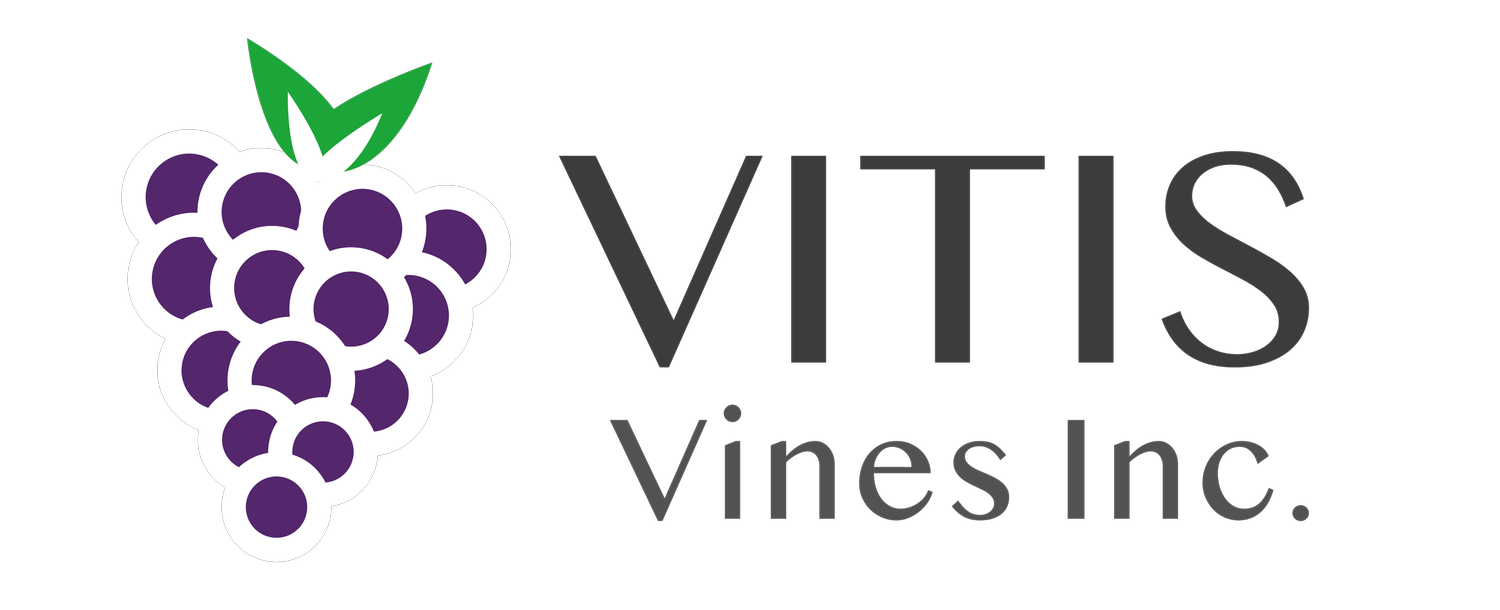 Vitis Vines Inc.