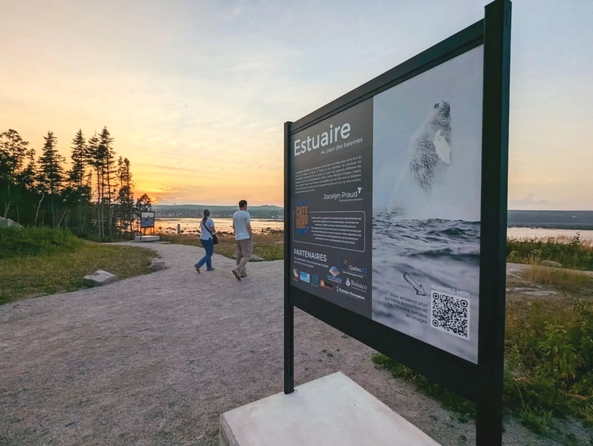 Exposition extérieure sur les baleine en pleine nature aux Escoumins près de Tadoussac