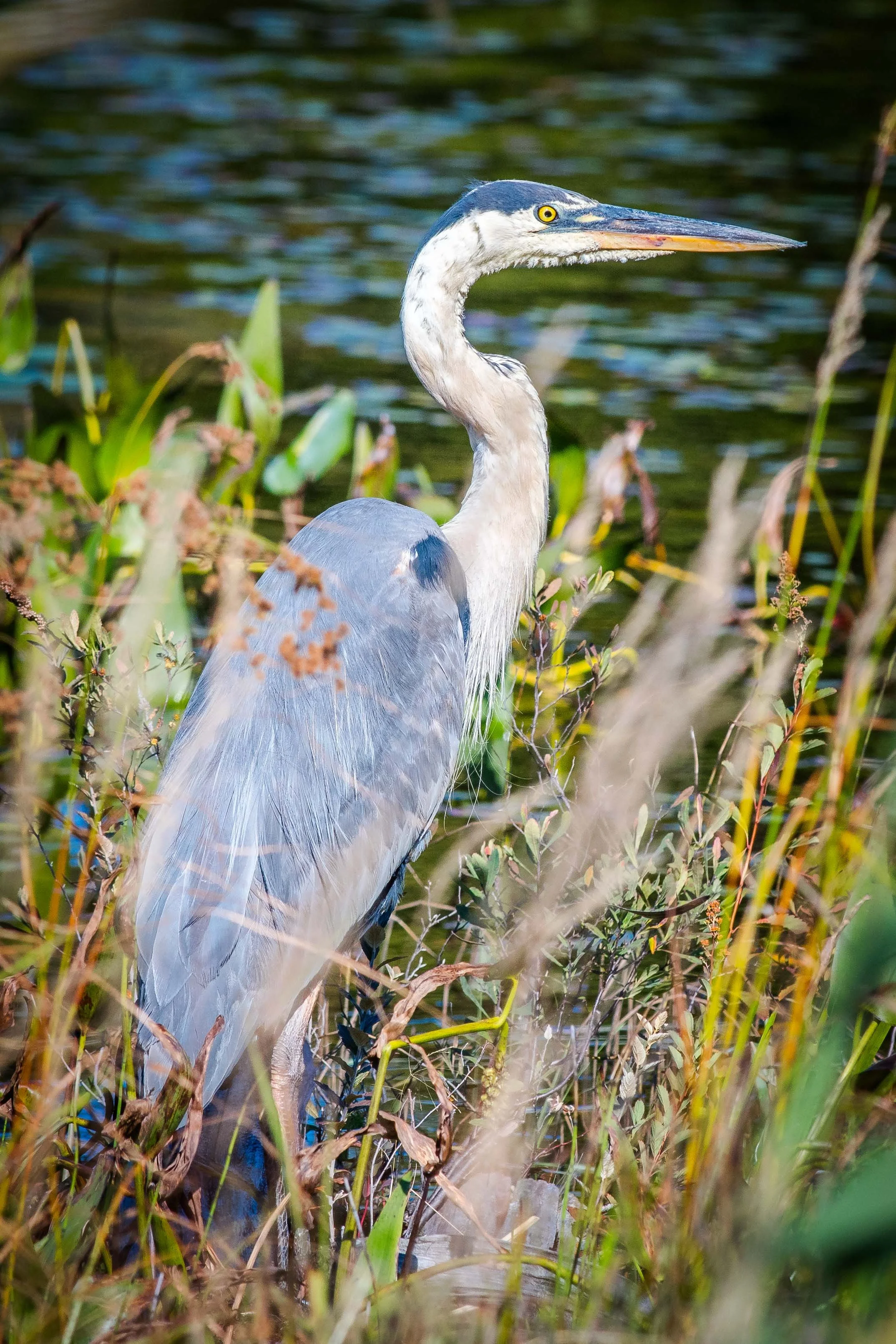 _DSC5859.jpg