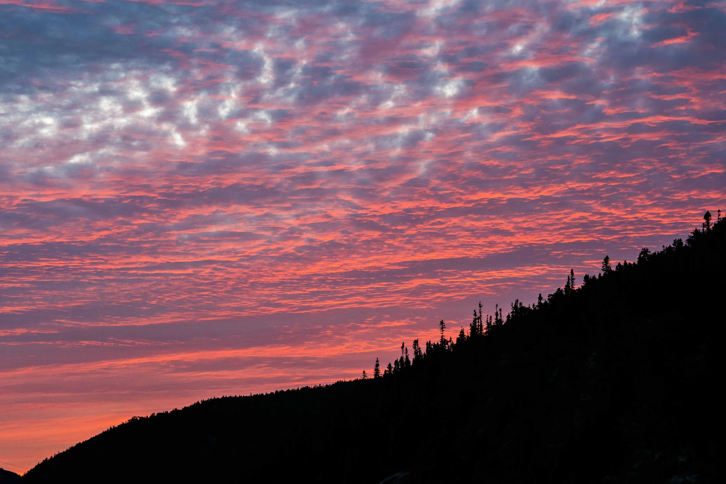 coucher de soleil nuages horizon forêt