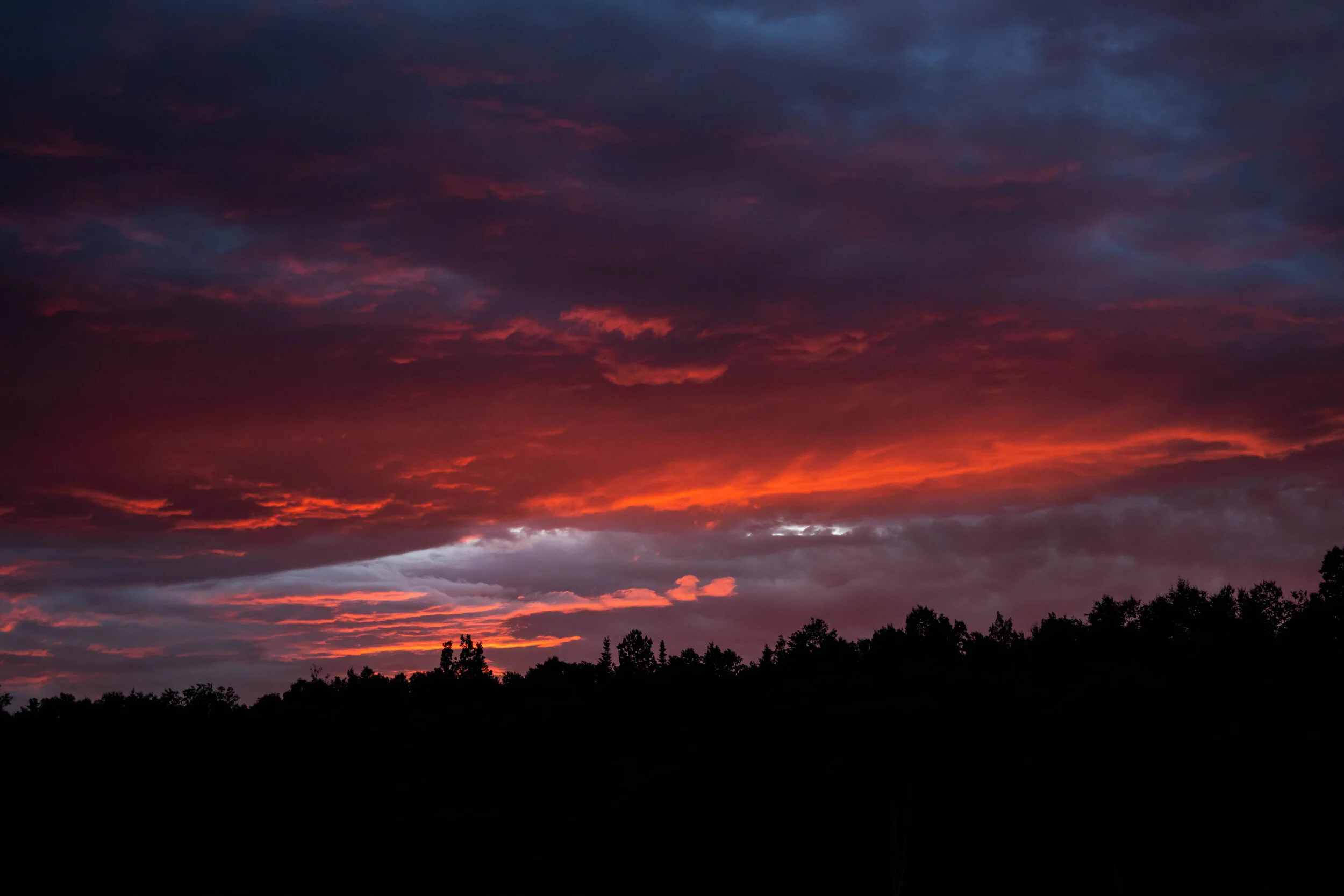 coucher de soleil nuages horizon forêt