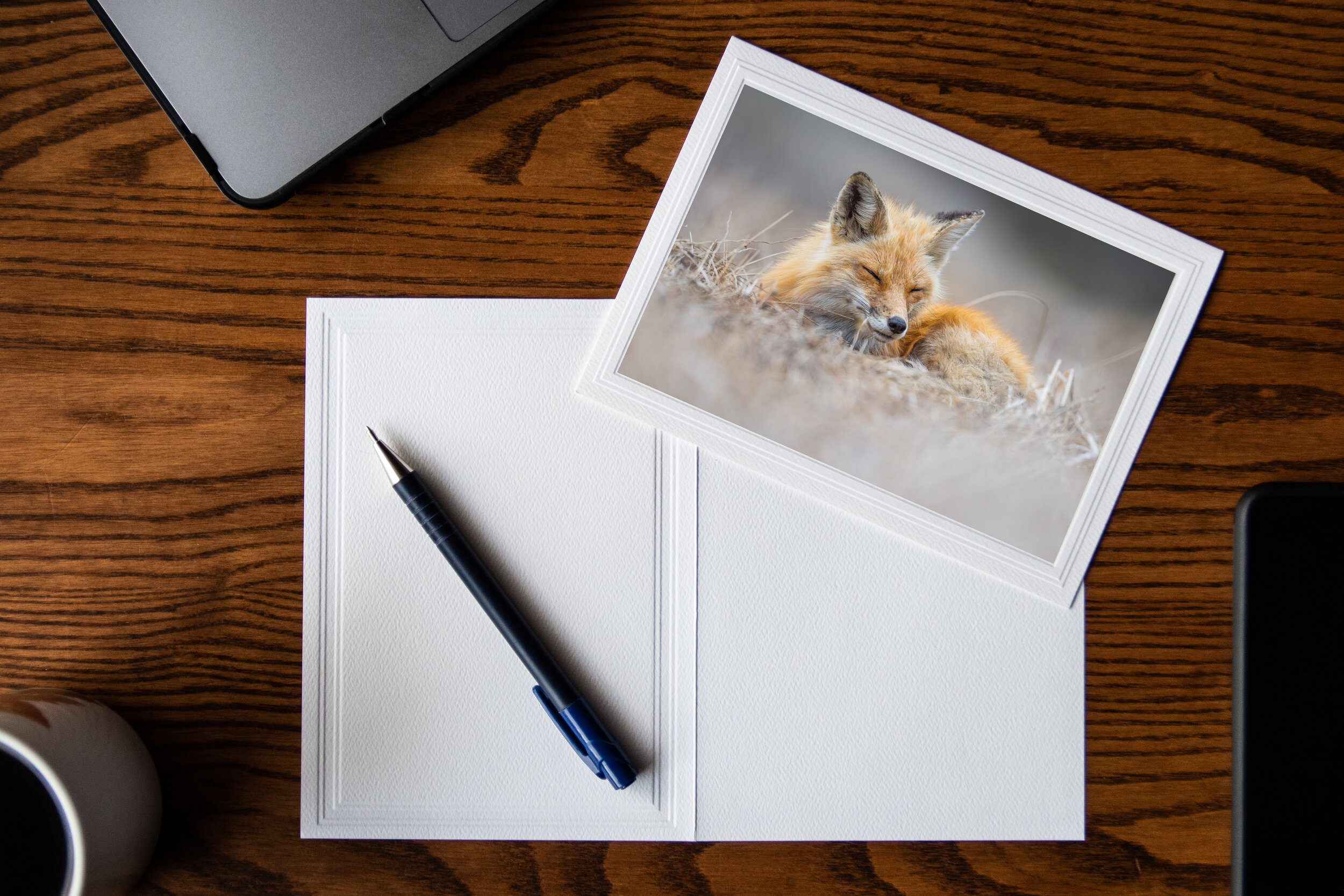 carte_sommeildurenard_mockup.jpg