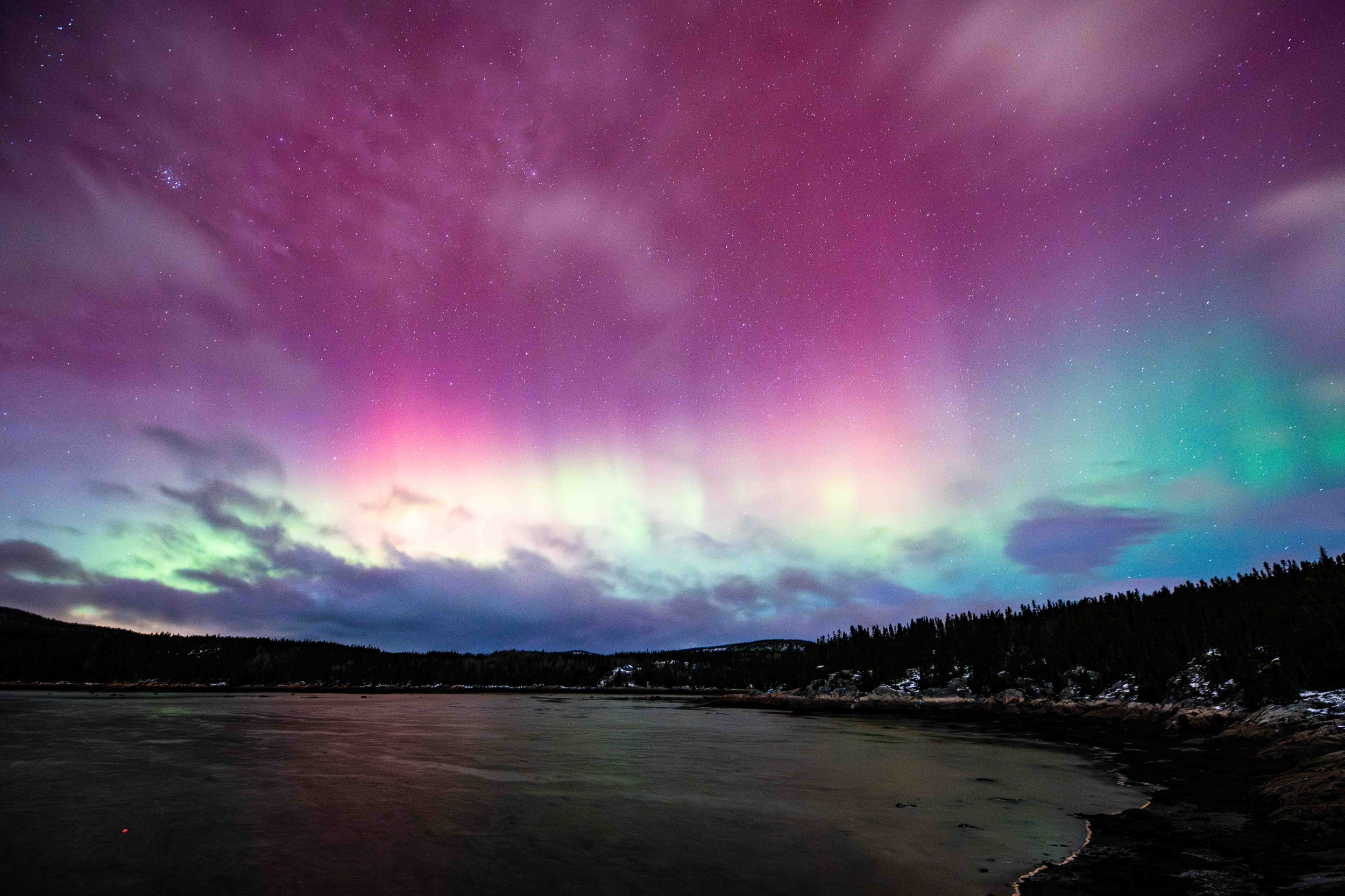 Aurores boréales roses au quai de bergeronnes au quebec
