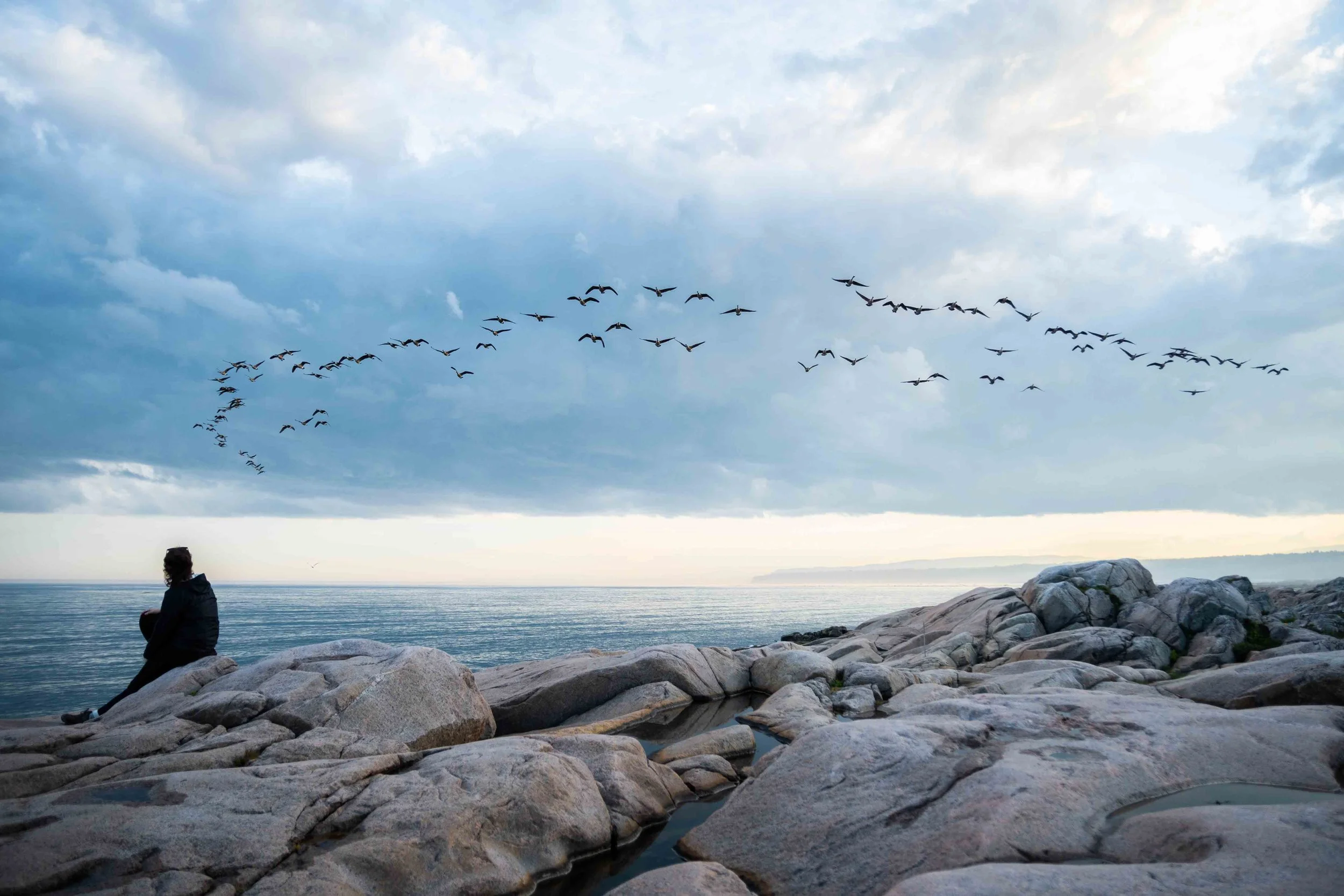 Une ornithologue observe les oiseaux marins volés sur les rives du Saint-Laurent au coucher du soleil au Cap-de-Bon-Désir