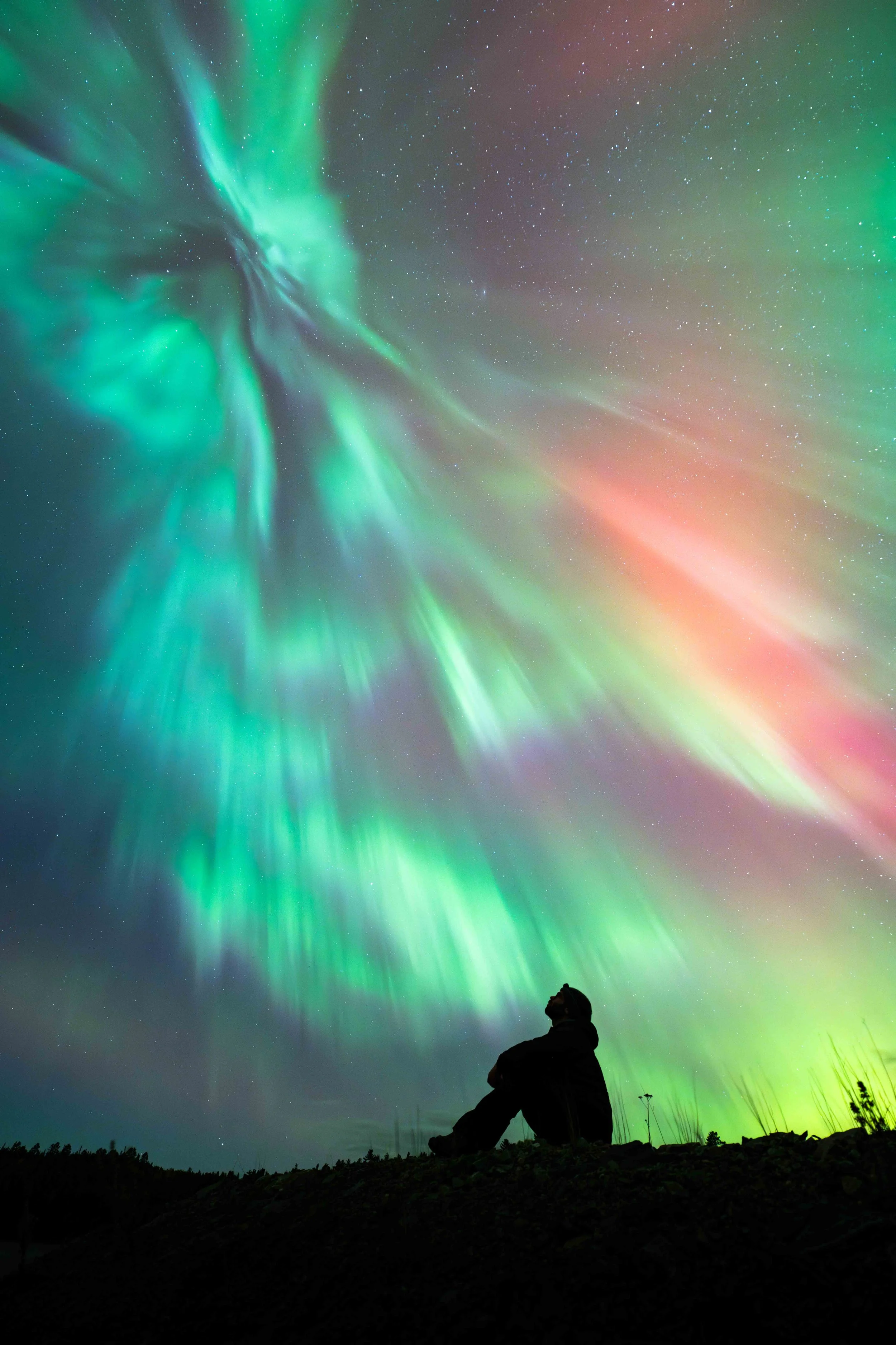 _DSC2785-Avec accentuation-Bruit.jpg