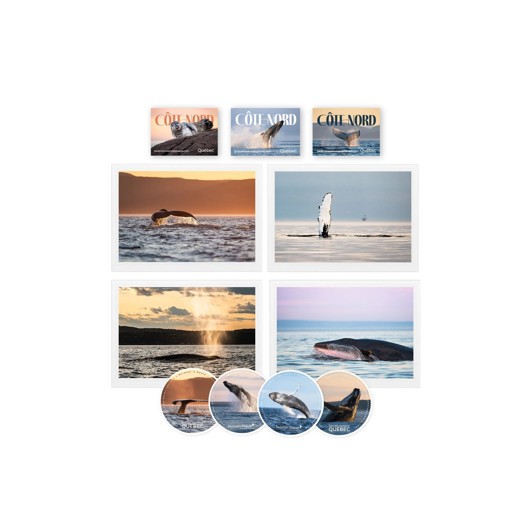 Ensemble goodies de baleines!