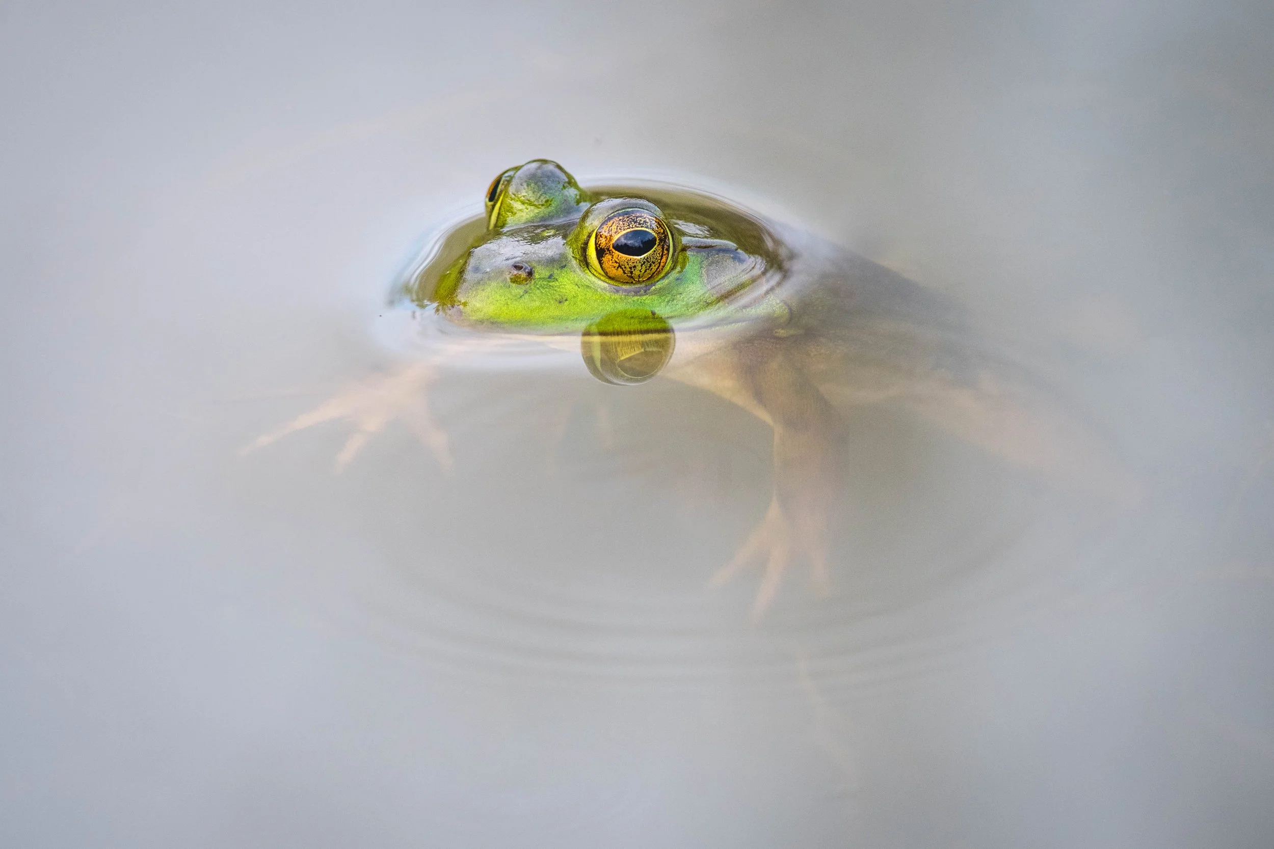 _DSC5506.jpg