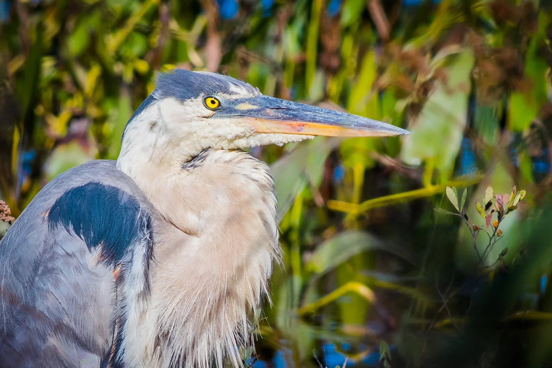 _DSC5837.jpg