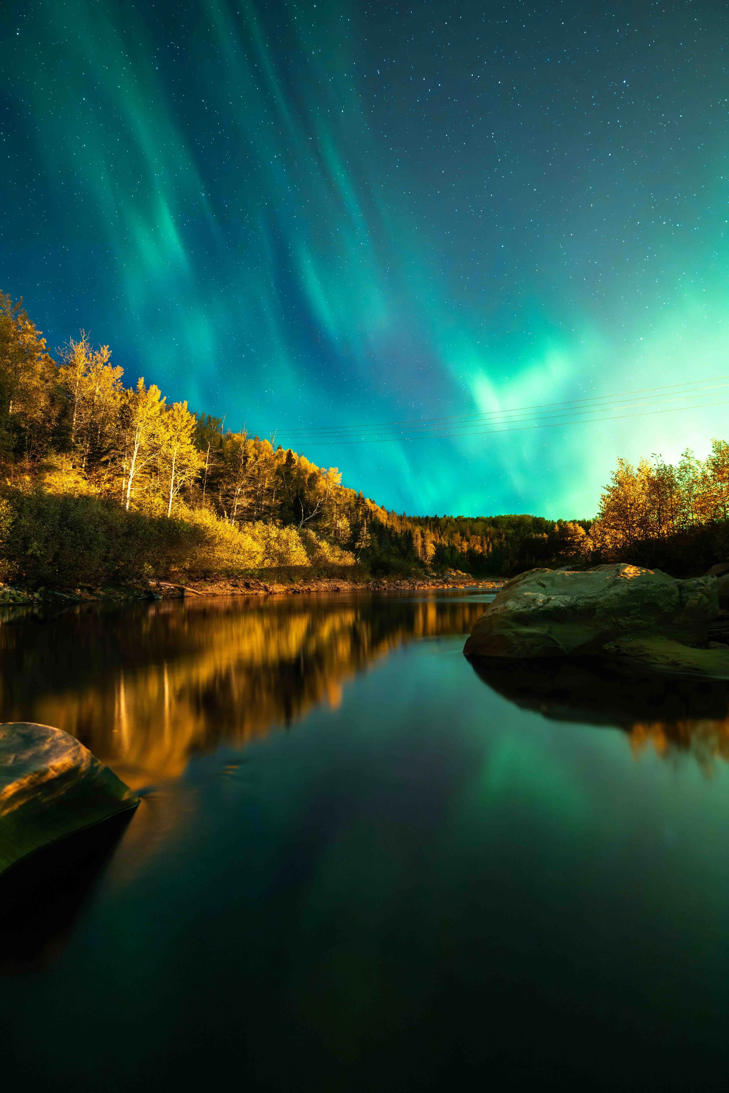 _DSC2895-Avec accentuation-Bruit.jpg