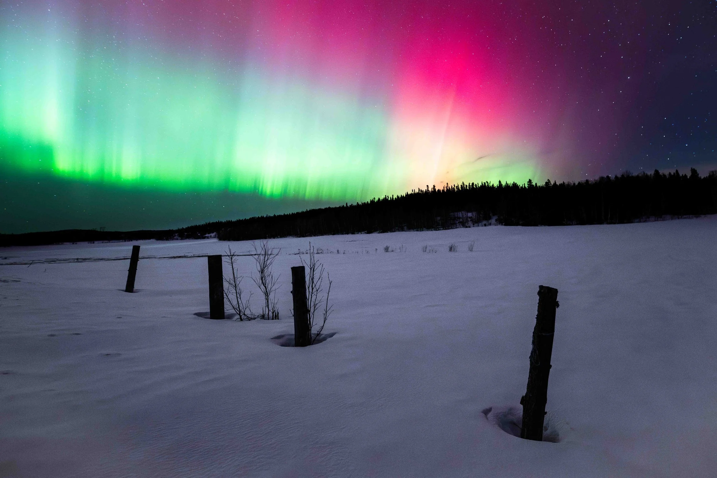 aurores boréales l'hiver a bergeronnes sur la cote-nord du quebec dans un champ